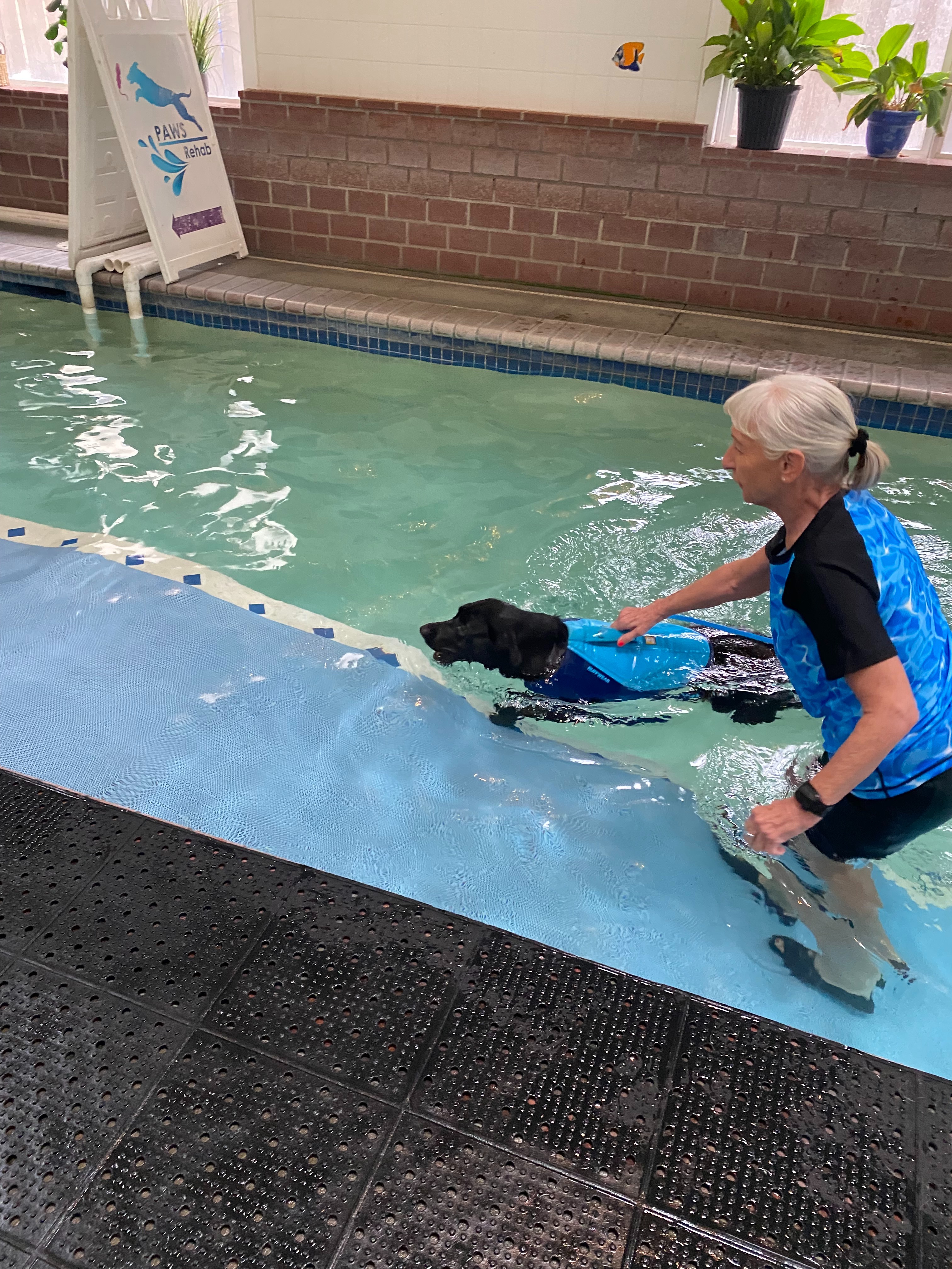 Swim Therapy for Katara to Heal and Play Again campaign photo, 2 of 7