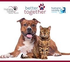 Supporting Our Community Through the Humane Society campaign photo, 2 of 4