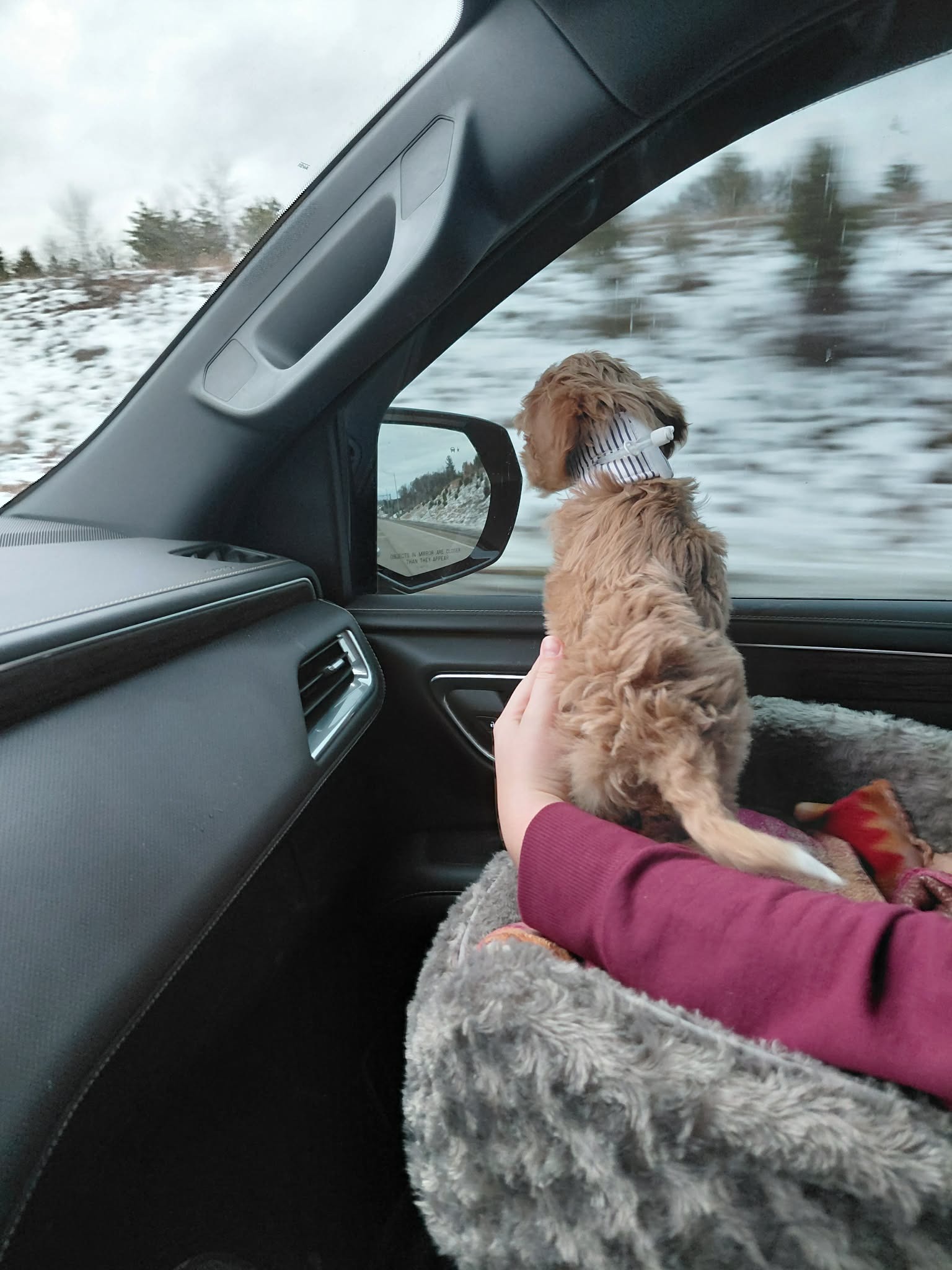 From Tube Feeding to Treats: Help Randy live a normal life campaign photo, 7 of 8