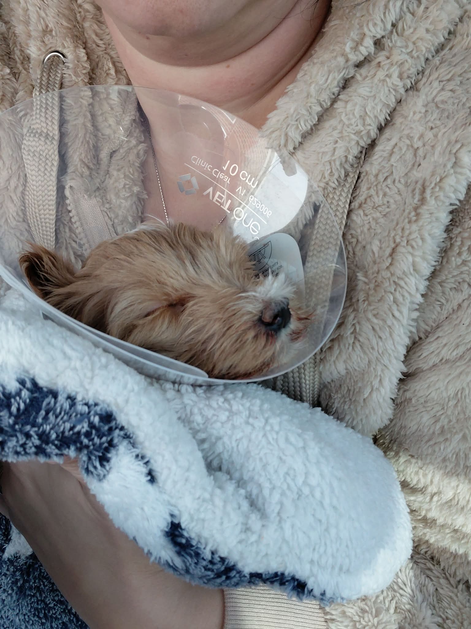 From Tube Feeding to Treats: Help Randy live a normal life campaign photo, 5 of 8