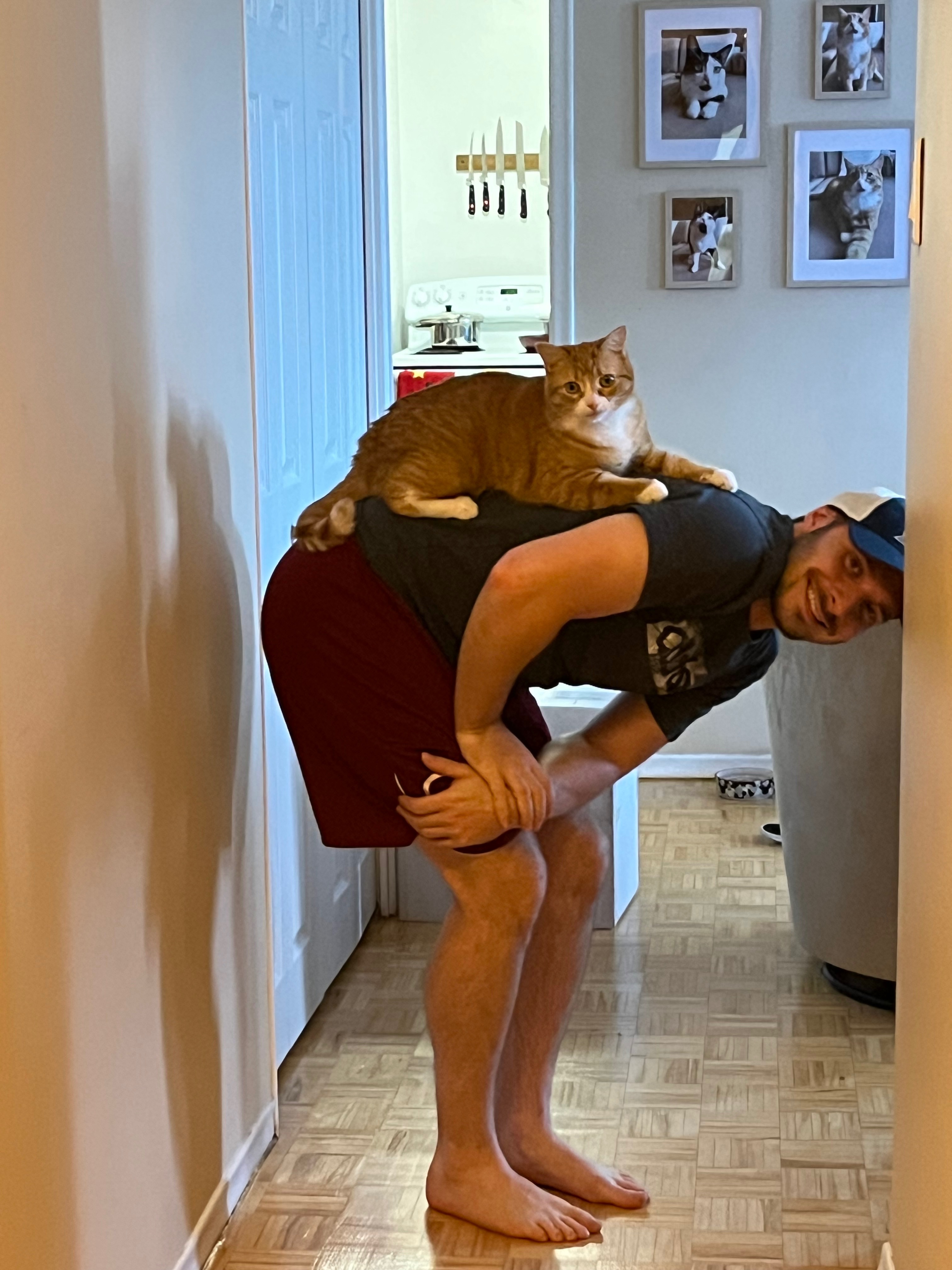 Our Little Cat Pikachu campaign photo, 7 of 8