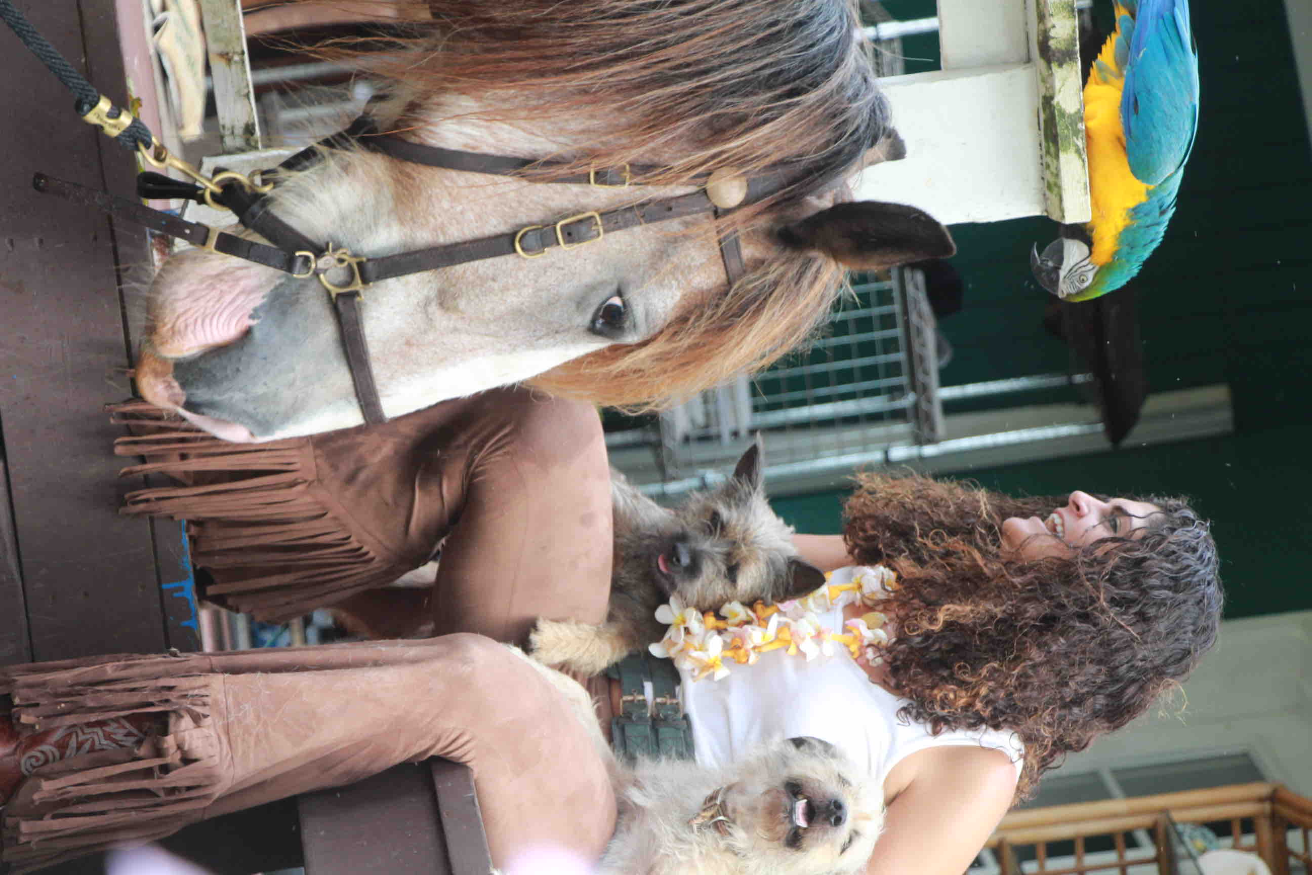 Help support the Aloha Barn, Animal Ohana. campaign photo, 7 of 8