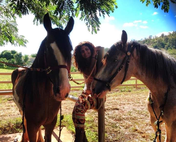 Help support the Aloha Barn, Animal Ohana. campaign photo, 6 of 8