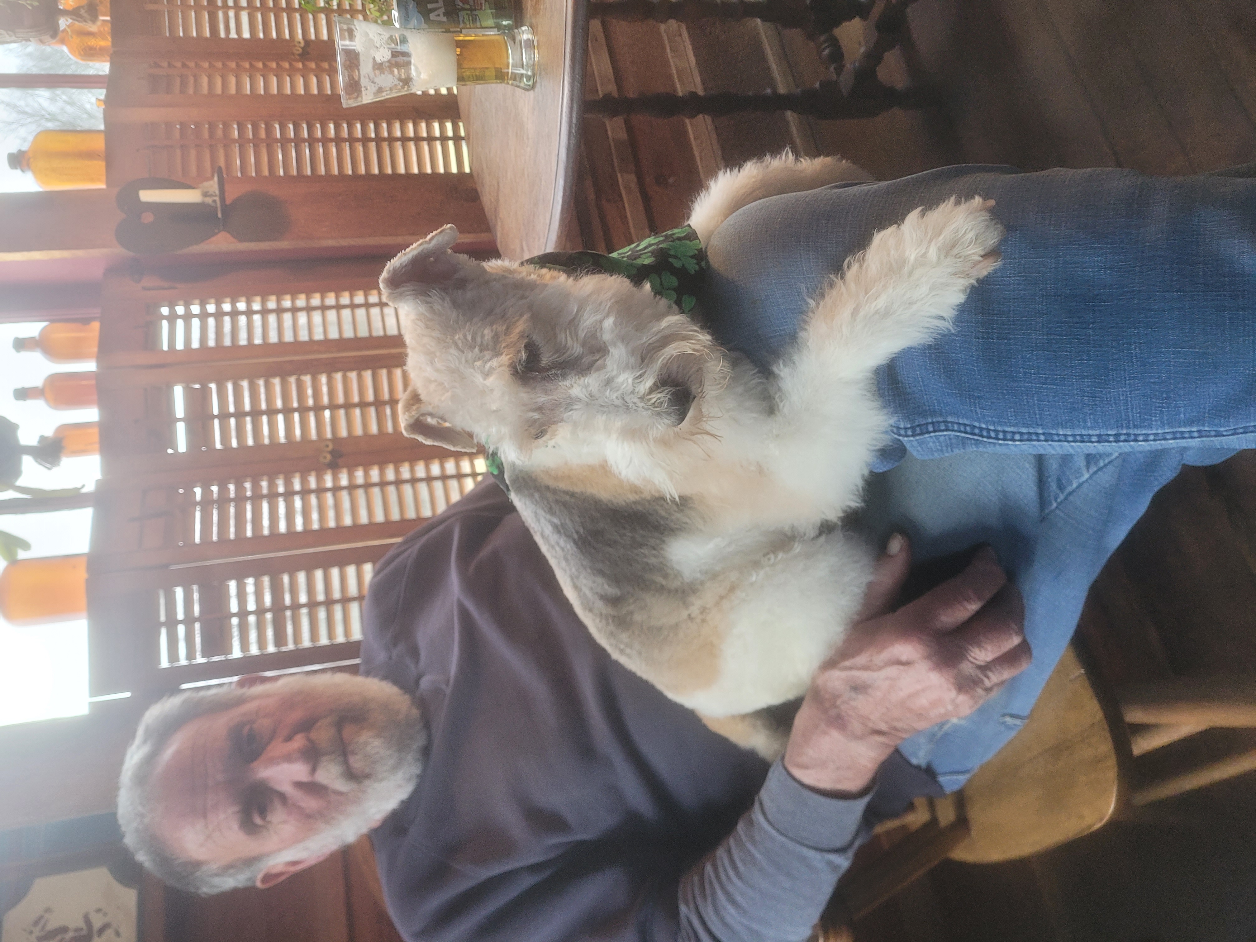 Support Jack’s Recovery and Farrier Legacy campaign photo, 5 of 7