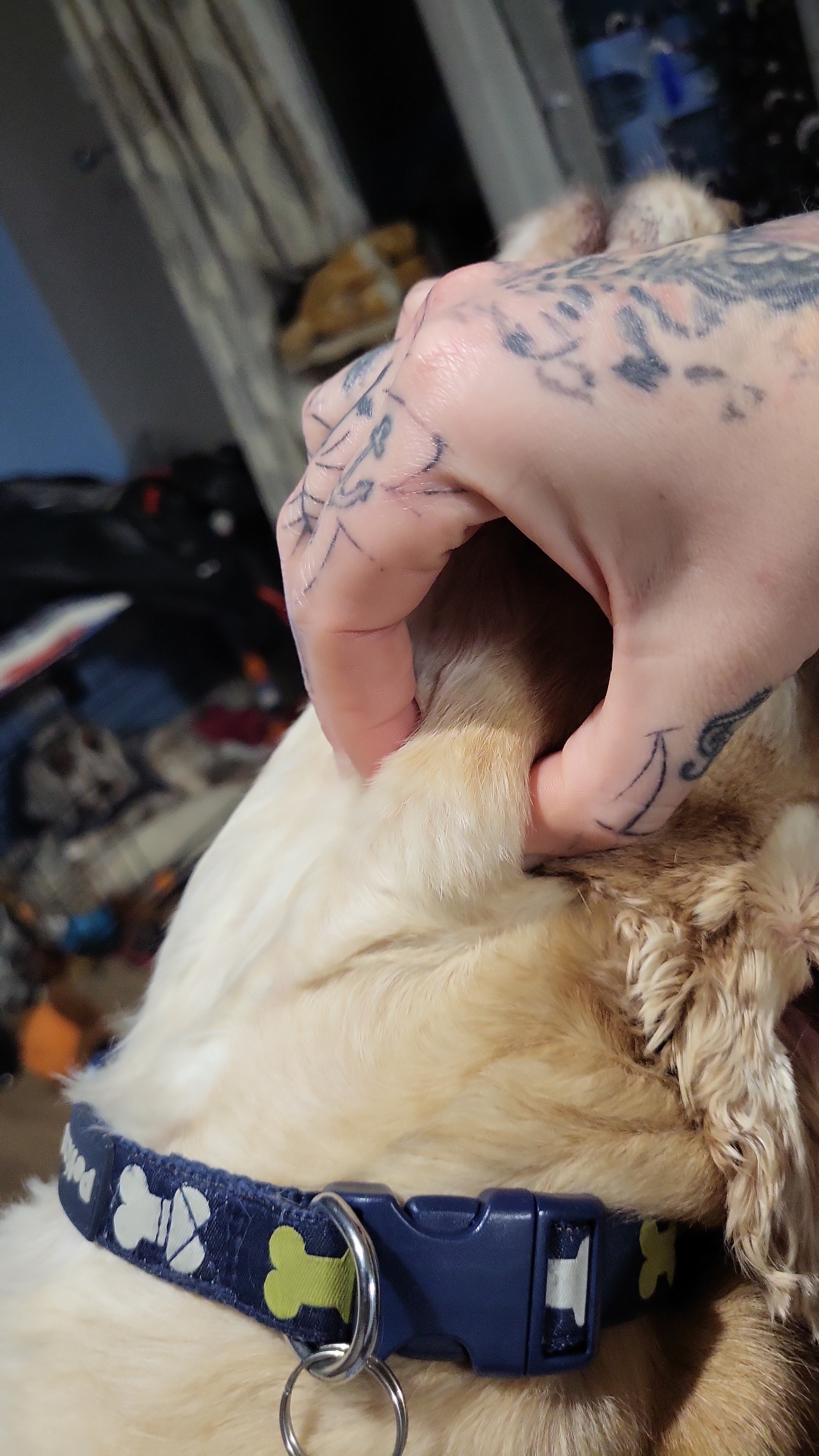 Ollys veterinary care campaign photo, 7 of 8