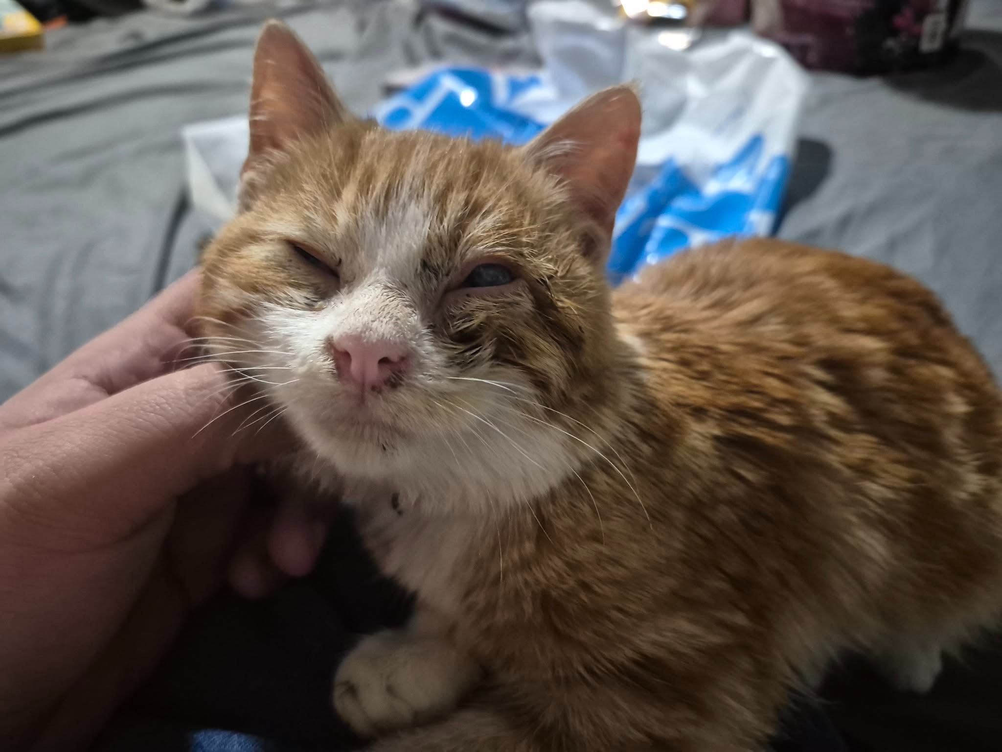 Help give Tom the care he deserves. campaign photo, 7 of 8