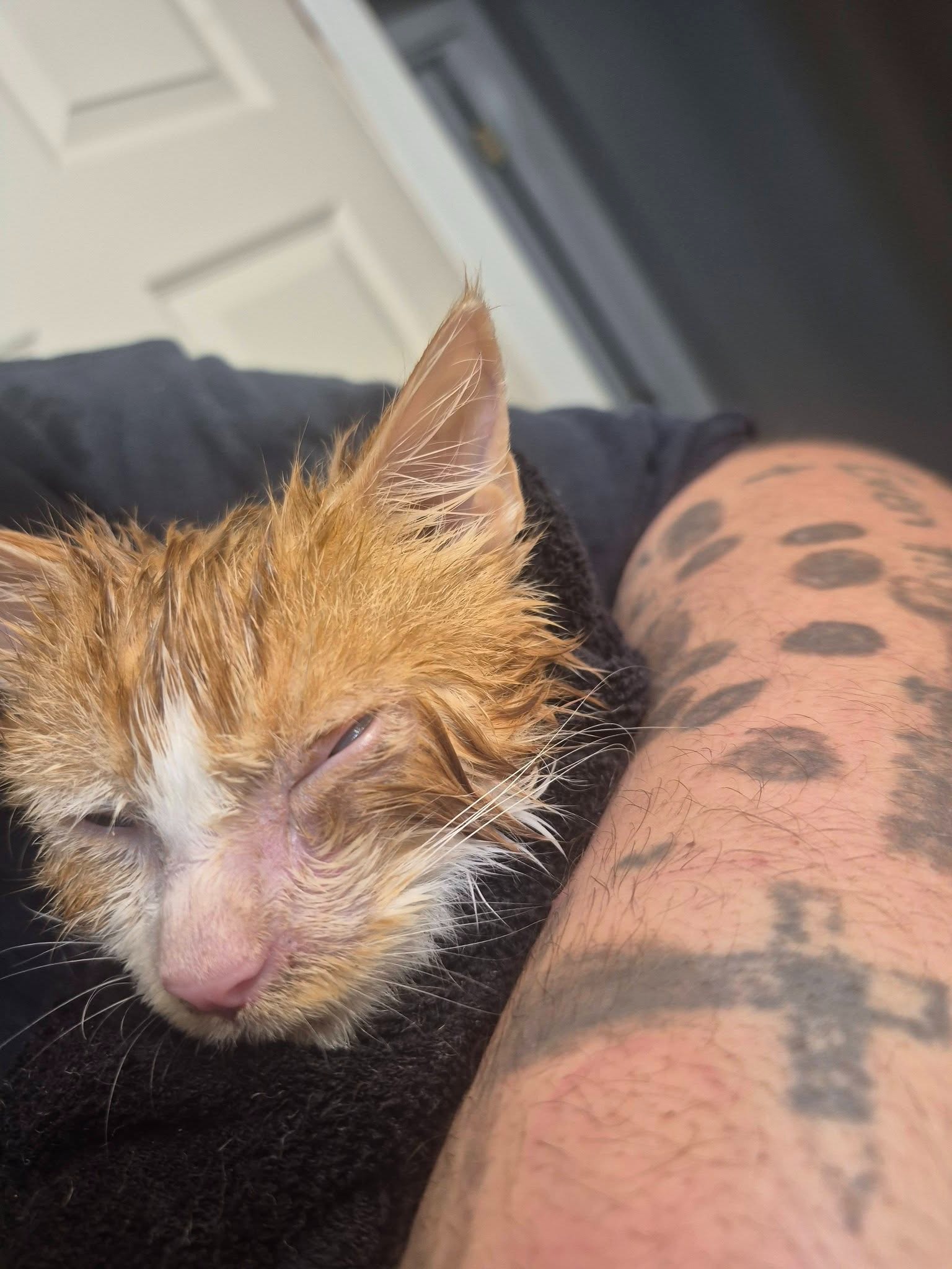 Help give Tom the care he deserves. campaign photo, 5 of 8