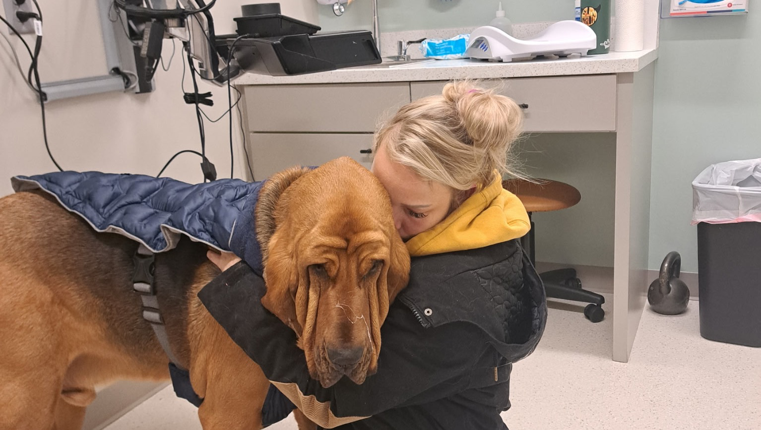 Aid for Banana's Hospital Stay