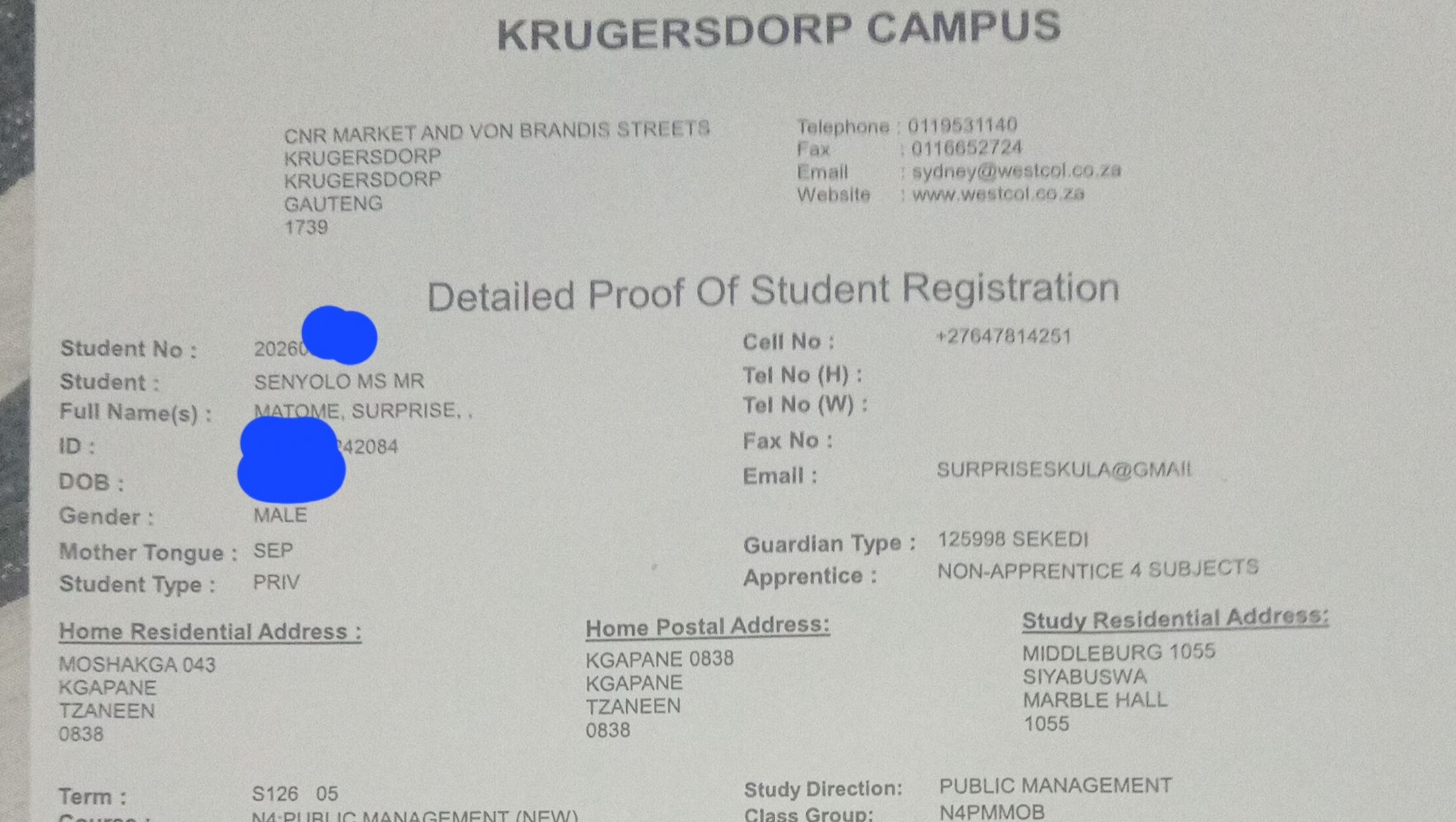 Support a Student's Journey in Public Management photo