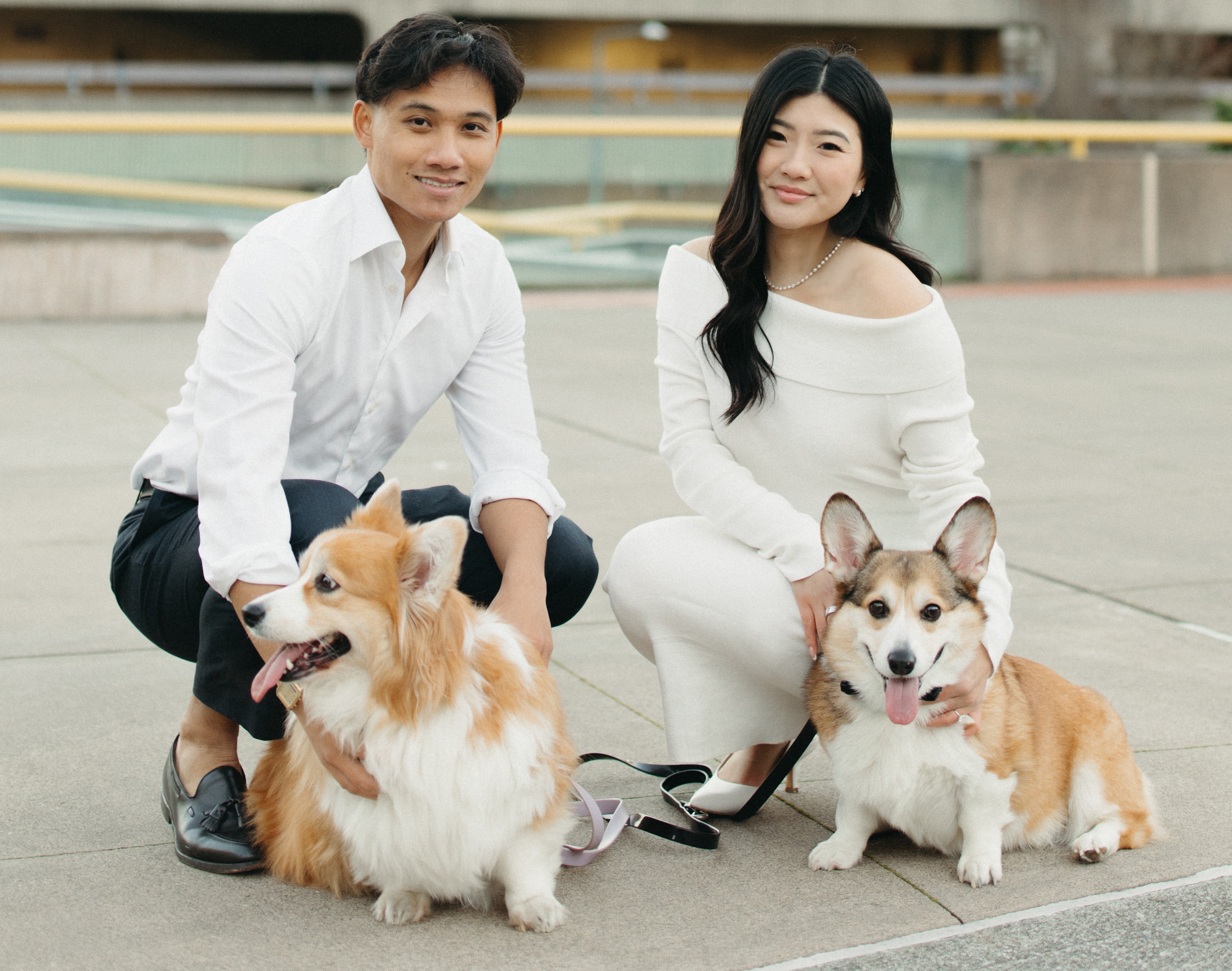 Honoring Wallie & Donate to Cancer Research campaign photo, 6 of 8