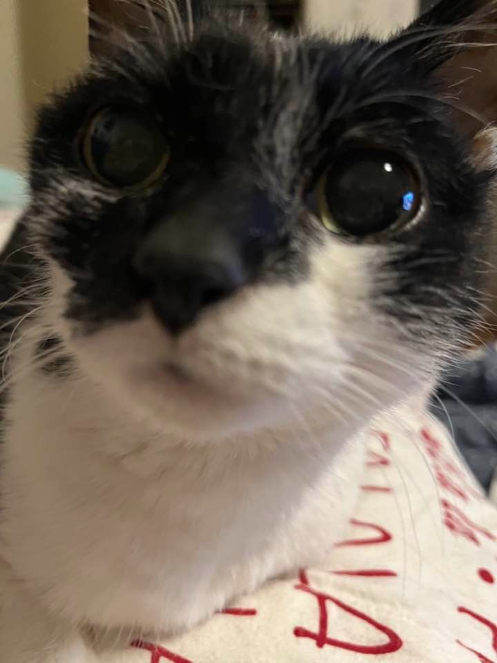 Help Zoe Get Lifesaving Medical Care campaign photo, 7 of 8