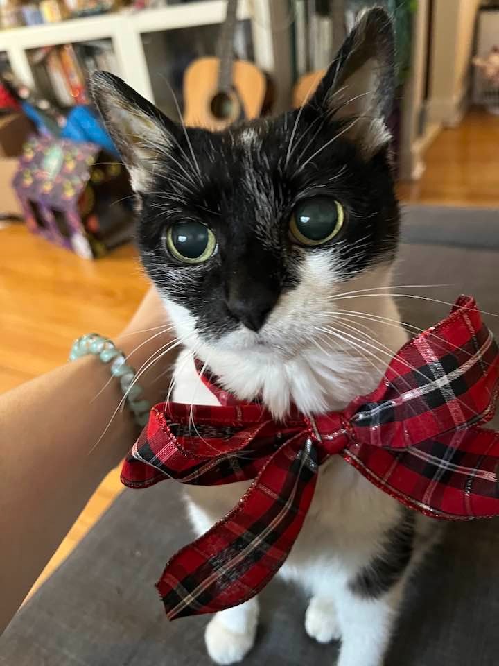 Help Zoe Get Lifesaving Medical Care campaign photo, 5 of 8
