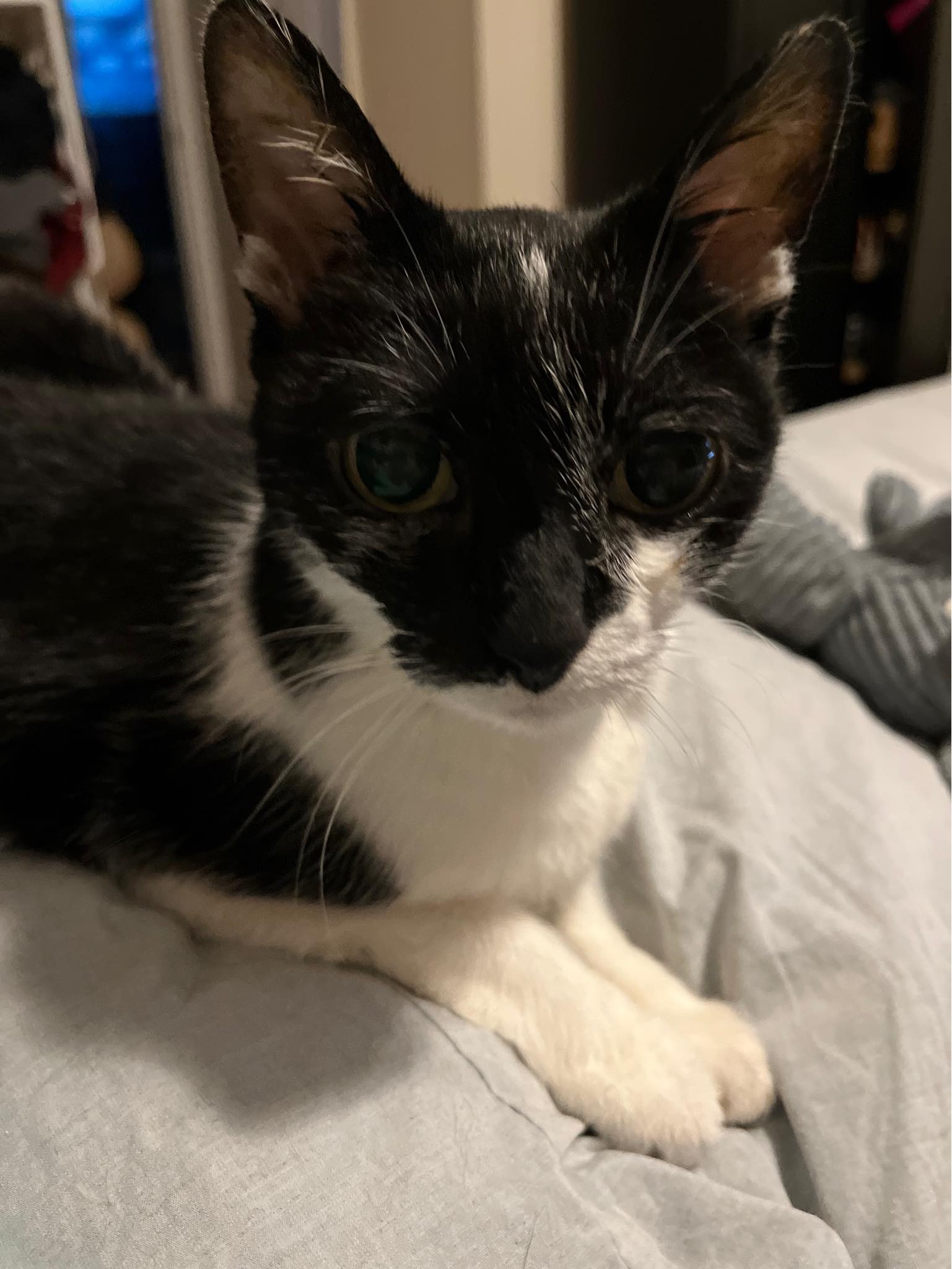 Help Zoe Get Lifesaving Medical Care campaign photo, 6 of 8