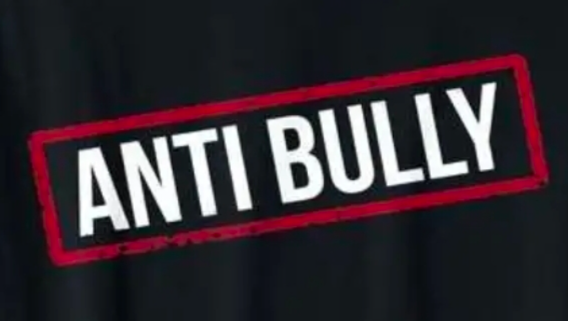 The Anti Bully photo