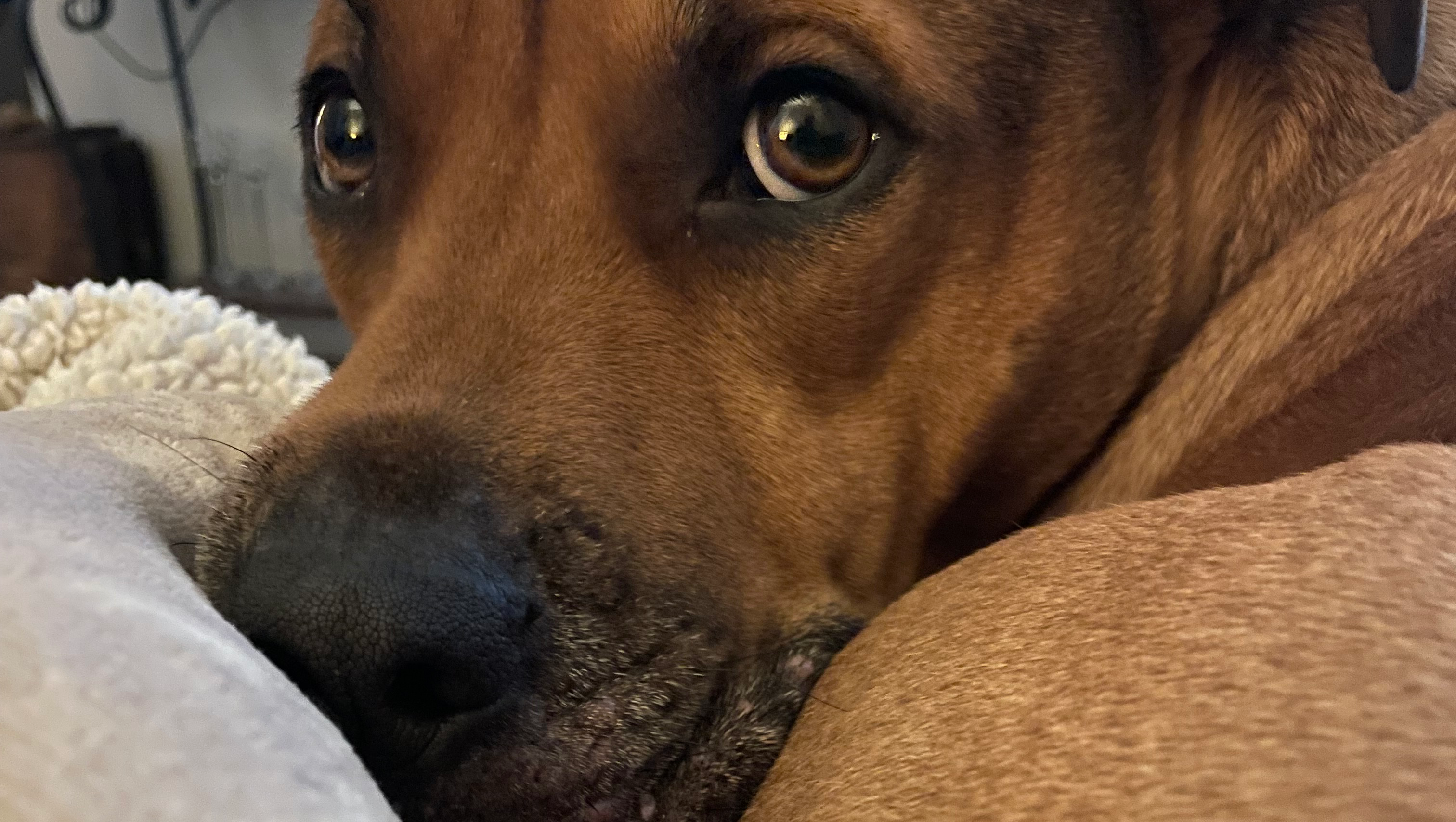 Was sick for two weeks and did not have sick leave time photo