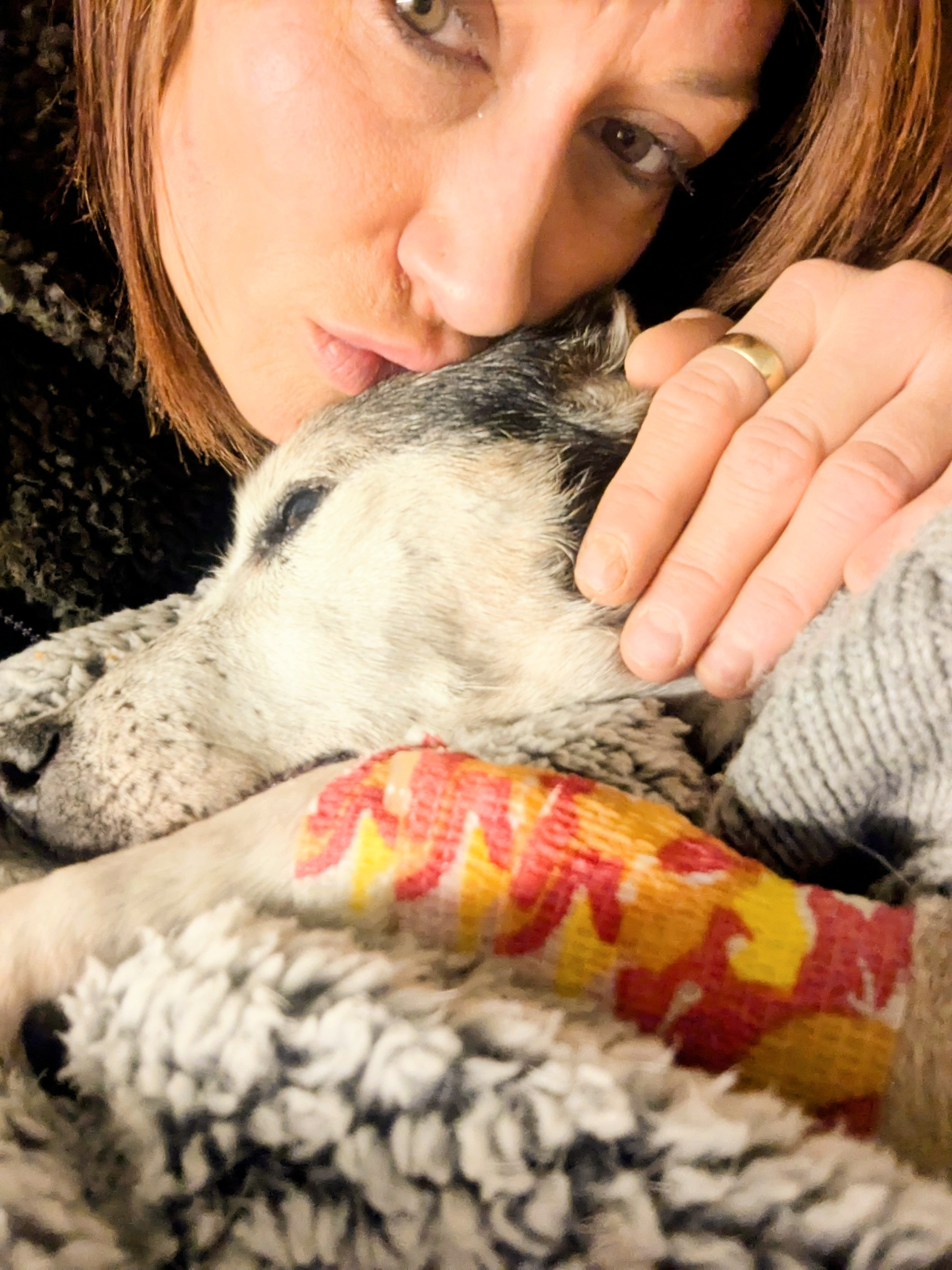 Roxy heartworm heart murmur warrior princess campaign photo, 5 of 6