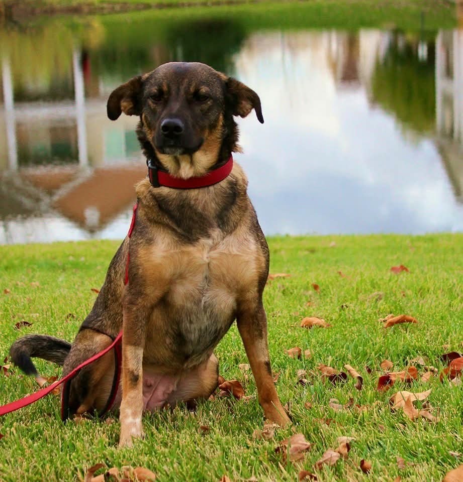 Help Perdi Get Life-Saving Surgery campaign photo, 7 of 8