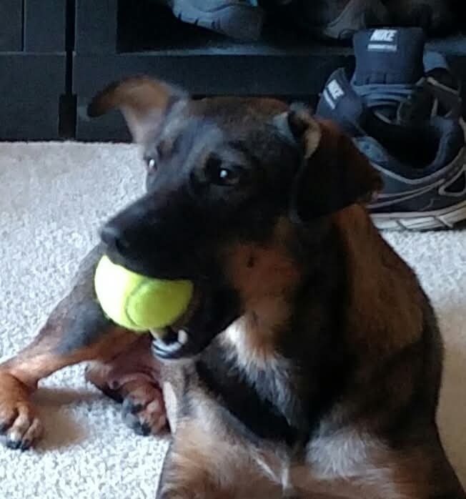 Help Perdi Get Life-Saving Surgery campaign photo, 4 of 8