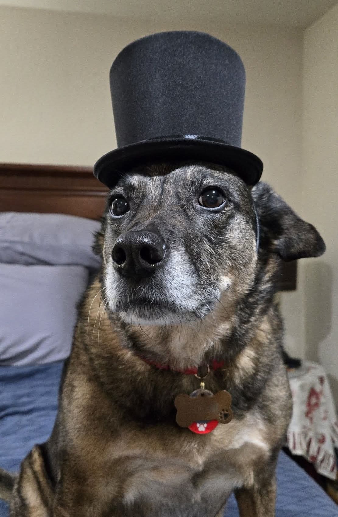 Help Perdi Get Life-Saving Surgery campaign photo, 5 of 8