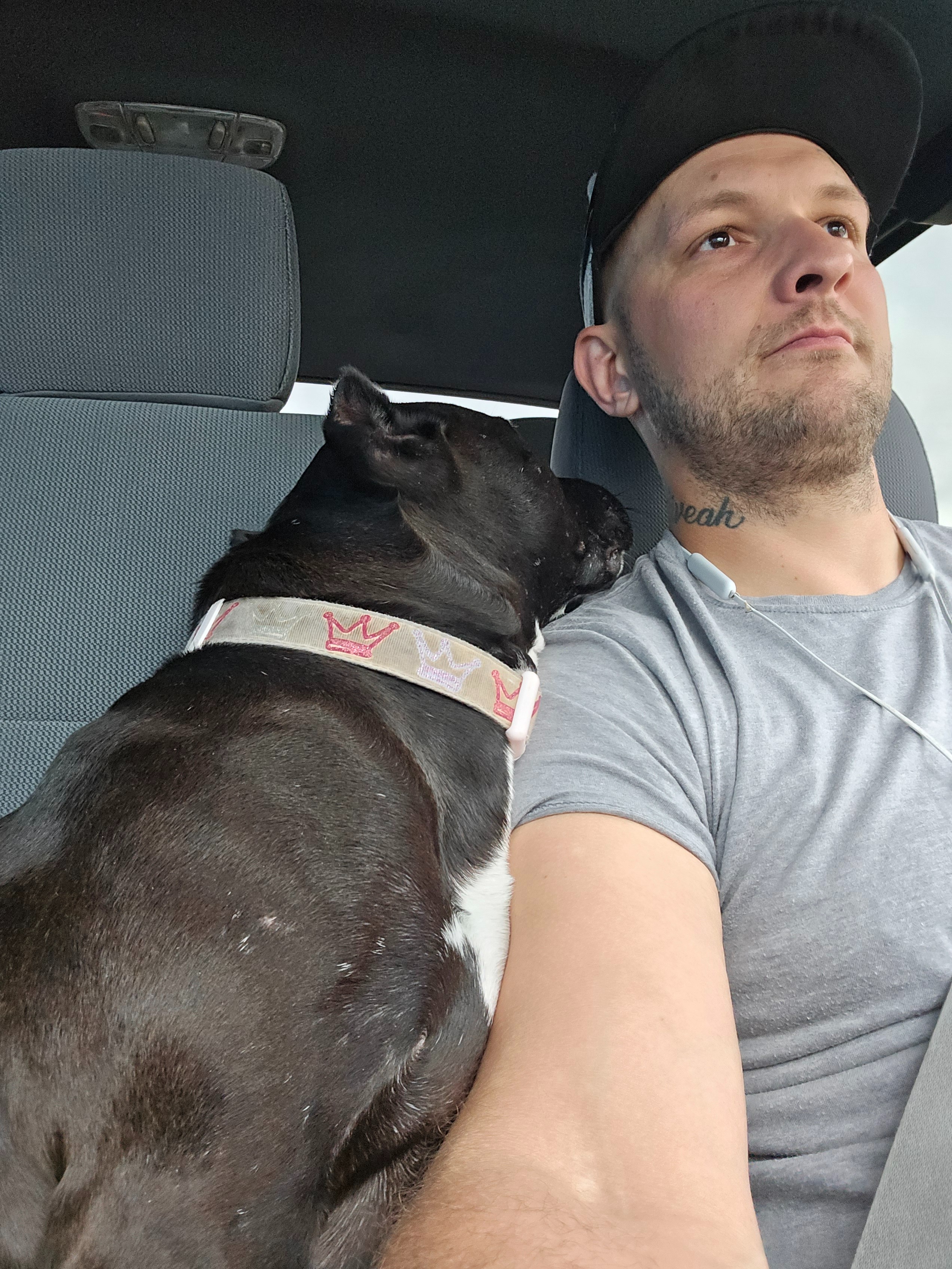 Help Ivy Recover from Emergency Surgery campaign photo, 5 of 8