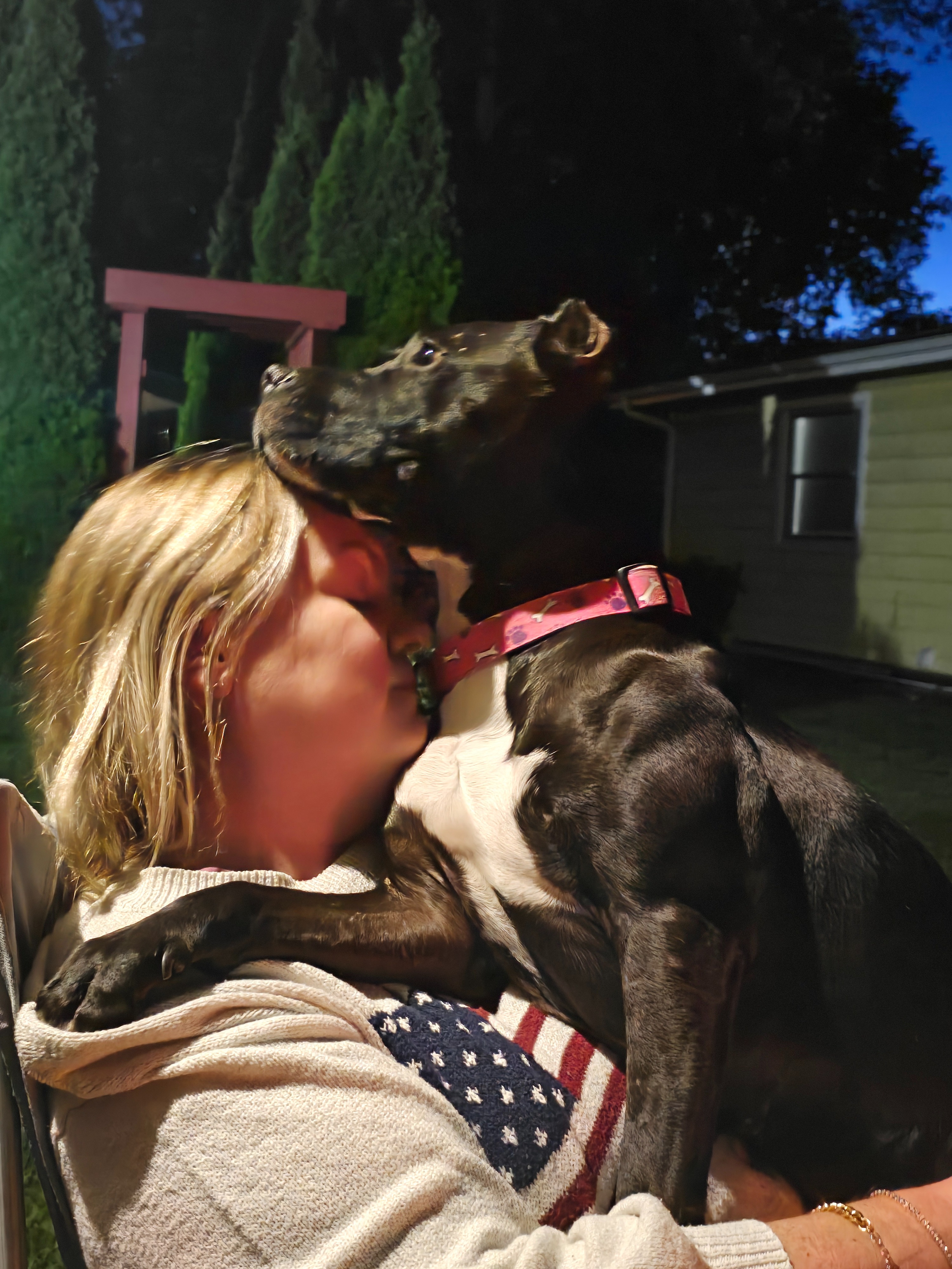 Help Ivy Recover from Emergency Surgery campaign photo, 6 of 8