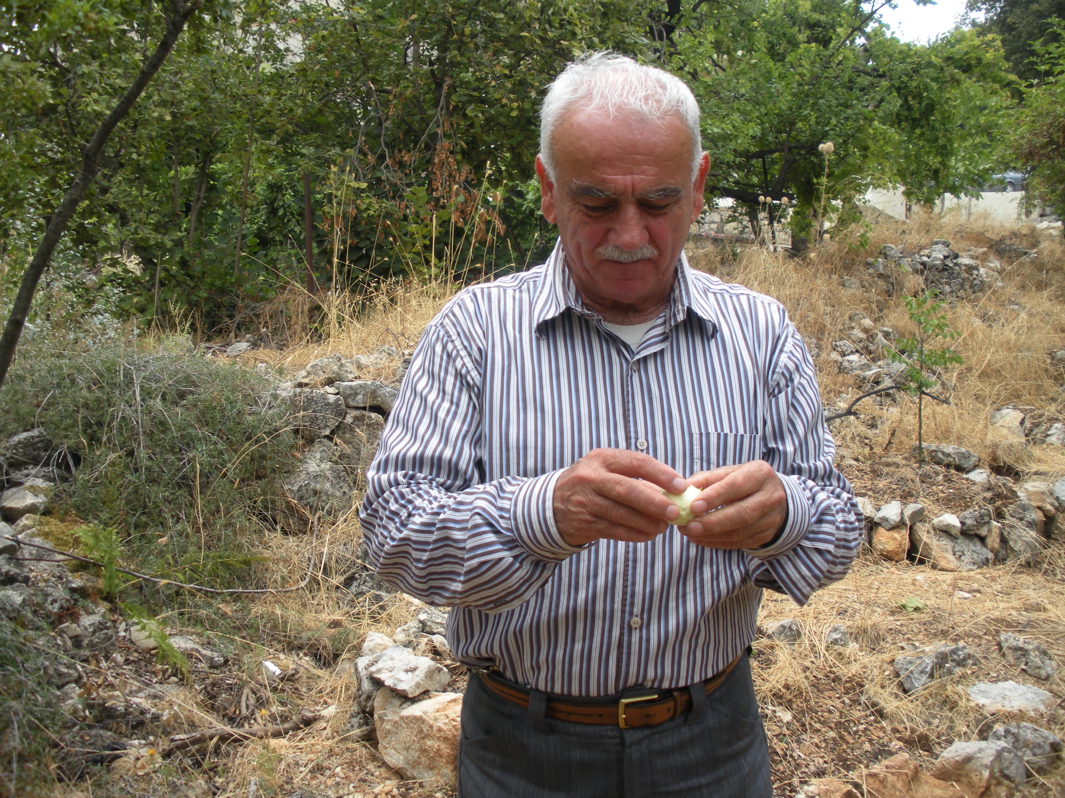 Honoring Elia Chahla’s Legacy and Love for Lebanon campaign photo, 2 of 6