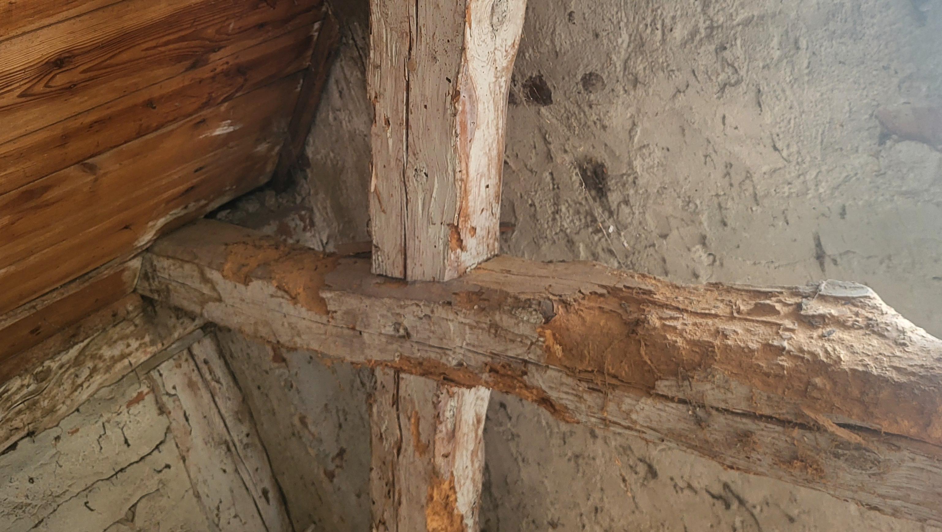 Deine Spende hilf mit, ein sicheres Zuhause zu schaffen. photo