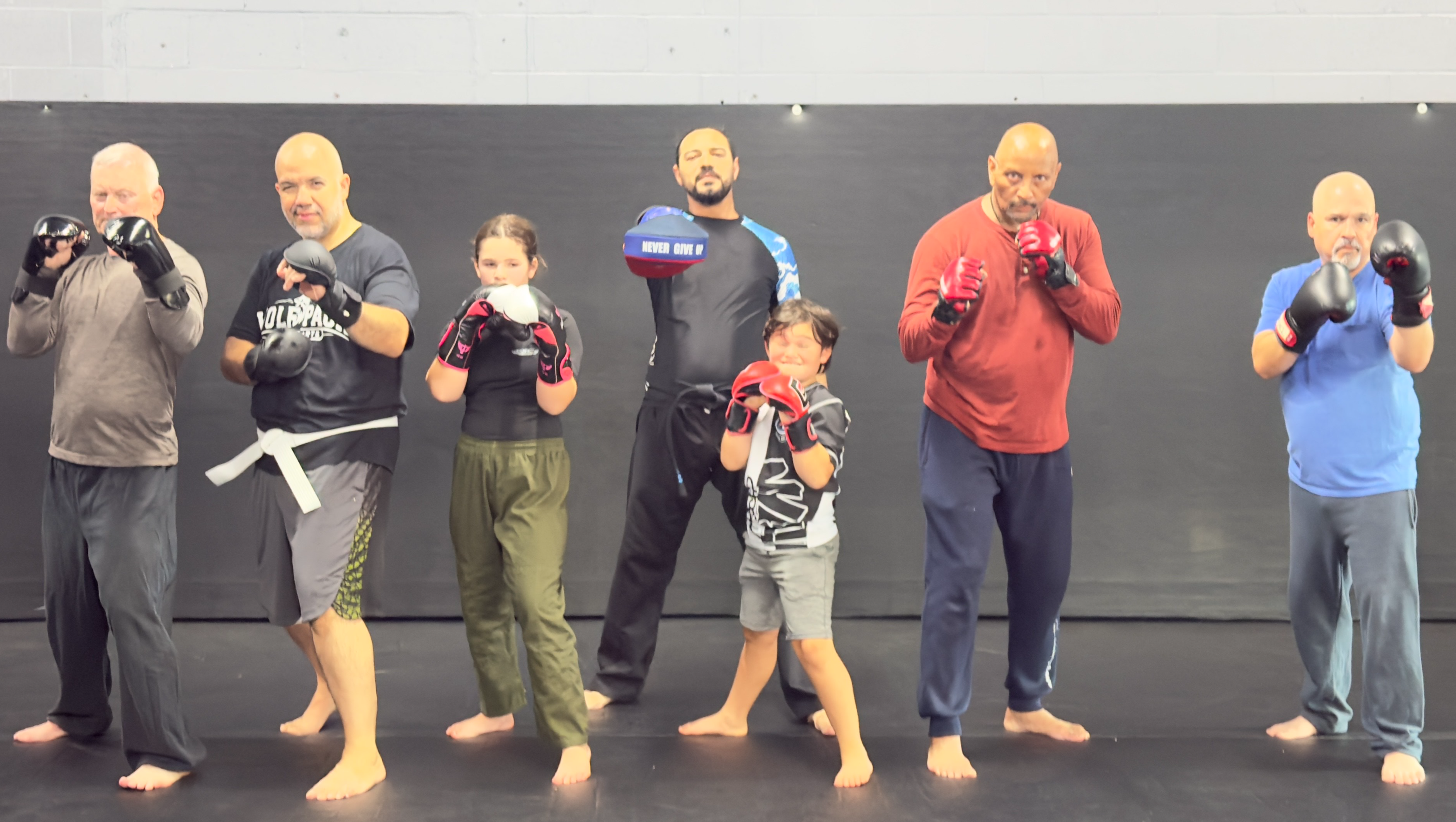 Help Launch Wolf Den Martial Arts photo