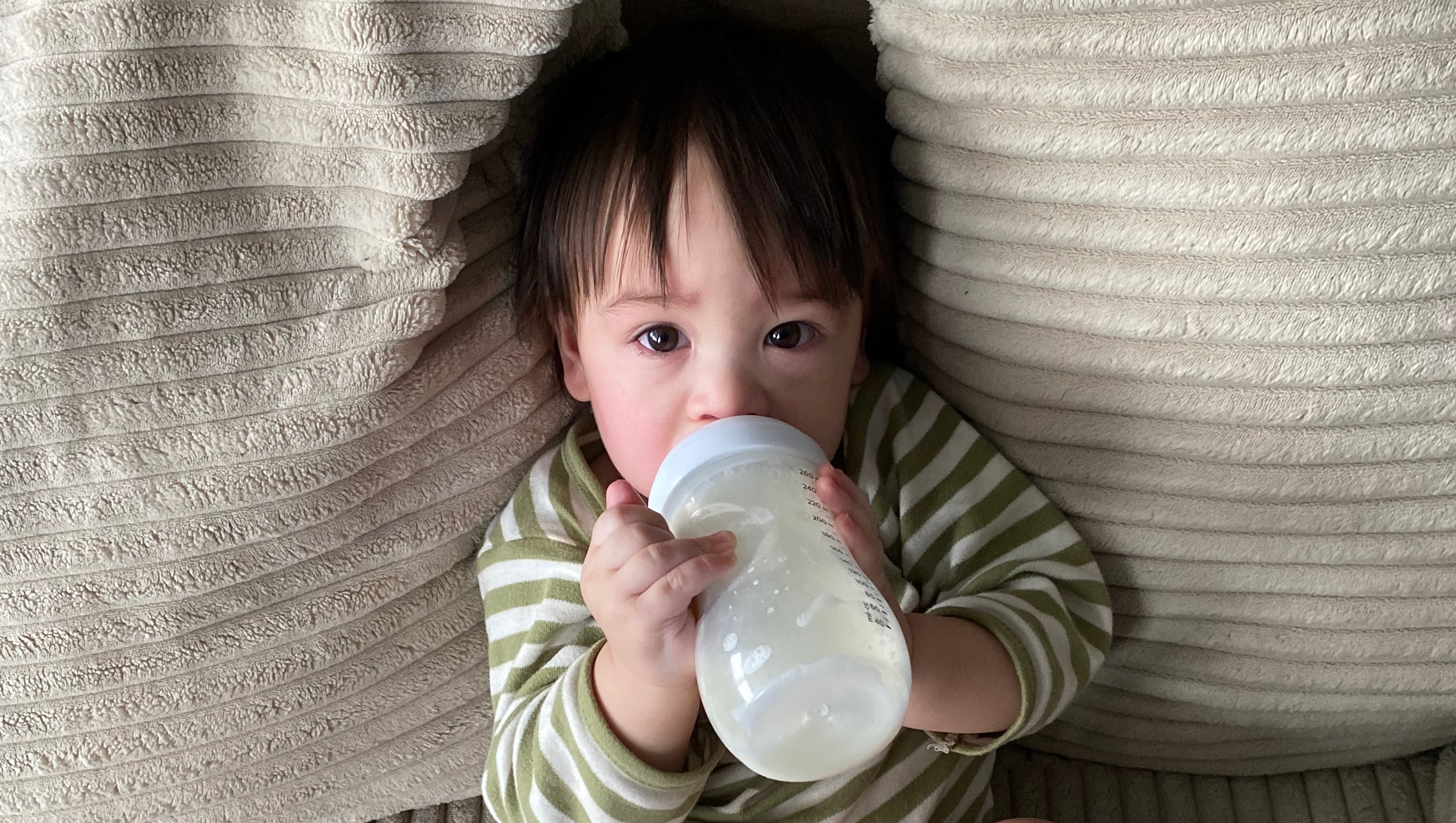Crosell Fundraiser by Anthony Sciubba : Help My Family Stay Safe & Together