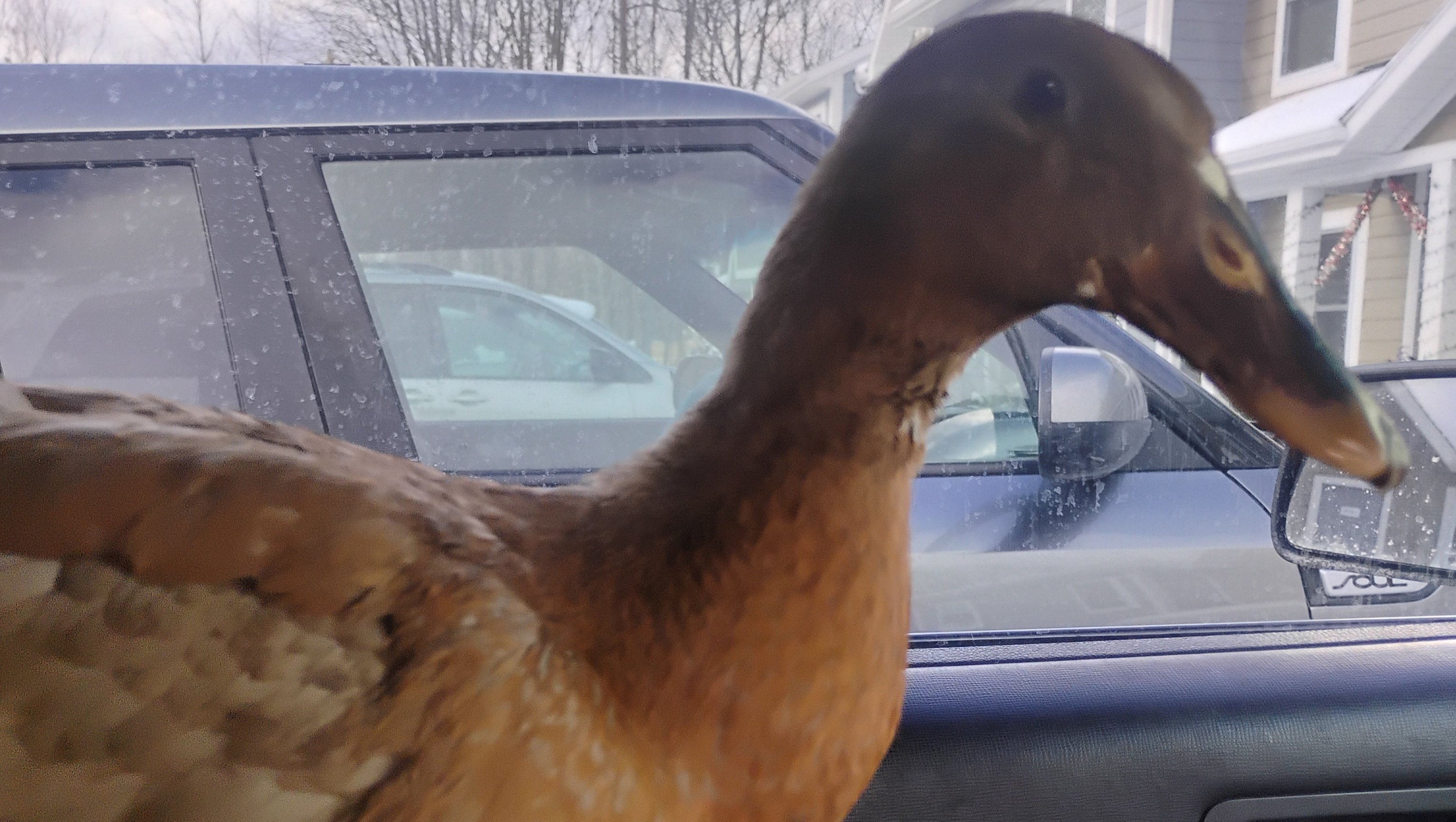 Bring Hannah Home: Jazmin's Farm Fundraiser photo