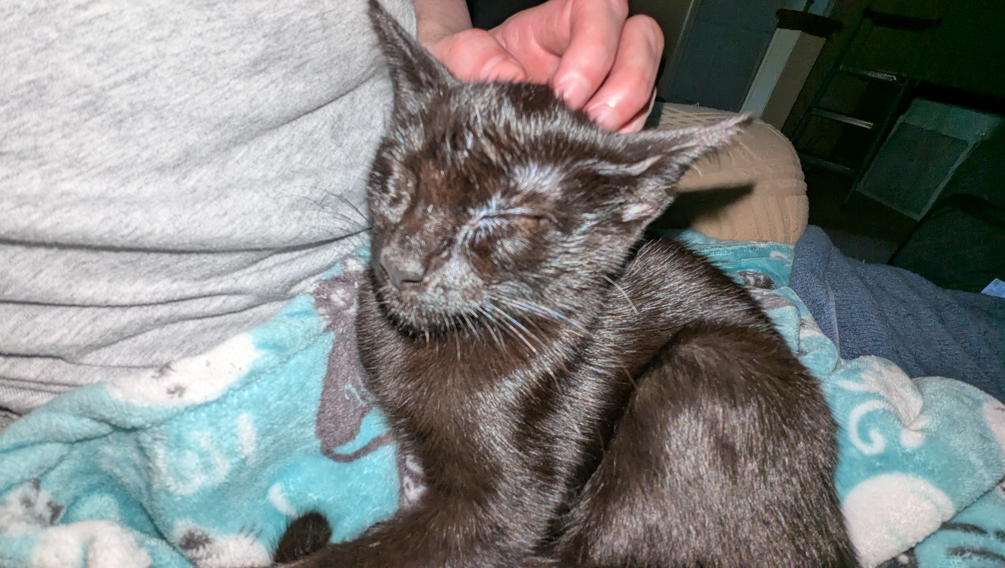 Please Help Support Gilbert’s FIP Recovery photo