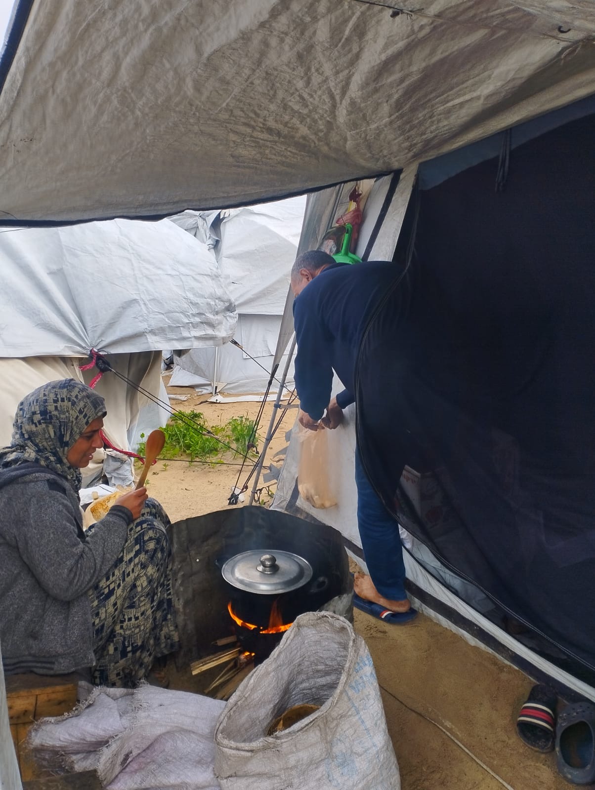 Support the Qudaih Family's Survival in Gaza campaign photo, 2 of 8