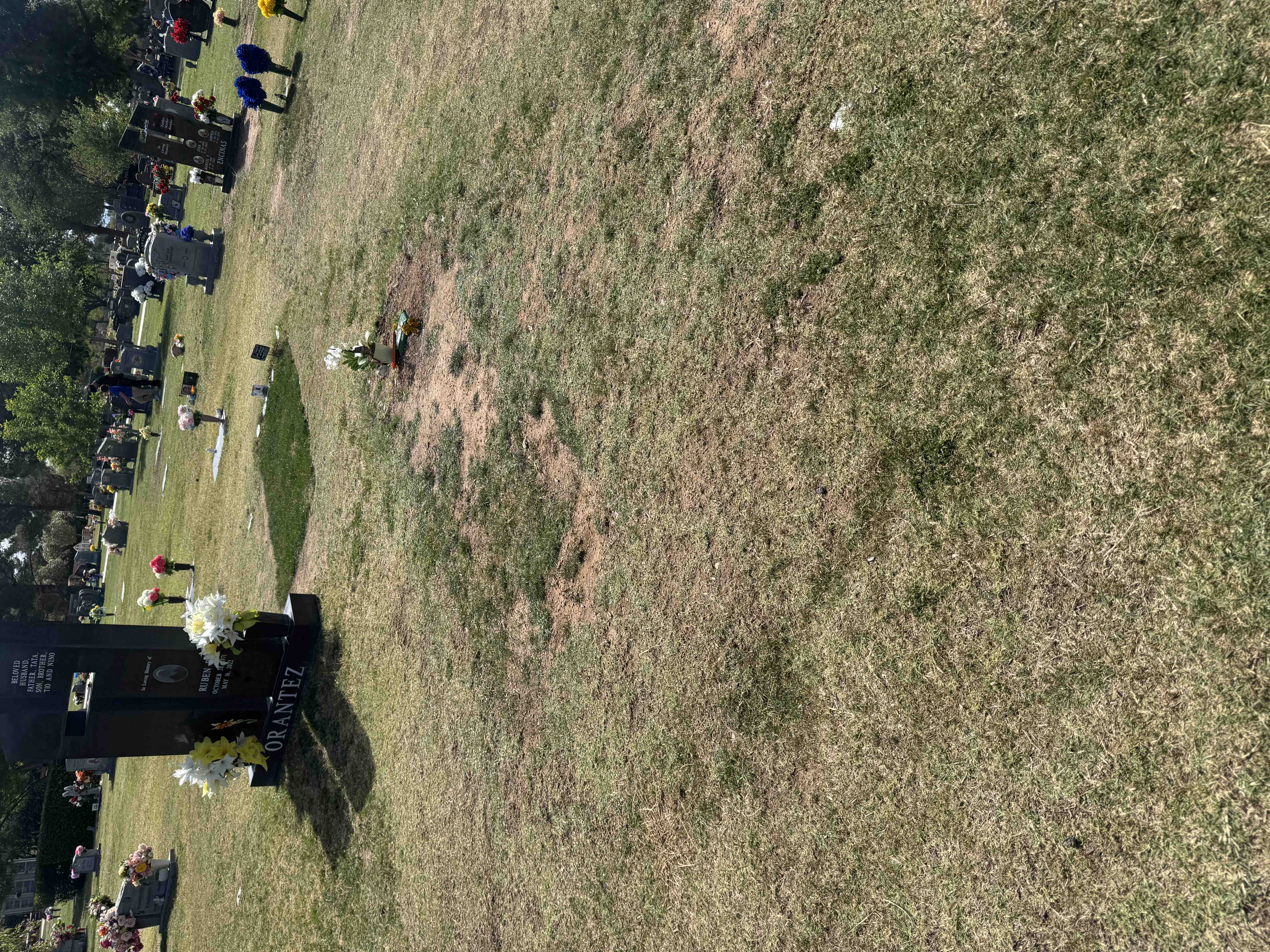 Help family secure headstone for 15-year-old son campaign photo, 8 of 13