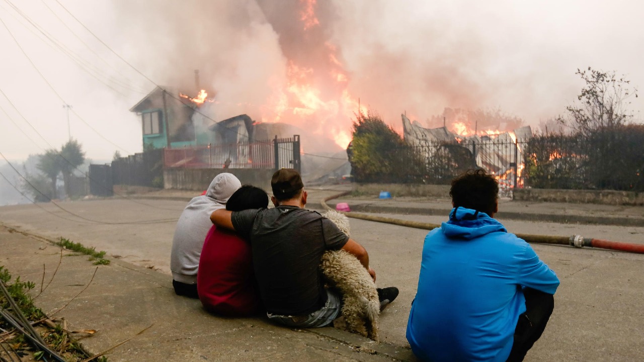 Chile Wildfires: Help for Firefighters, Animals and Victims campaign photo, 7 of 8