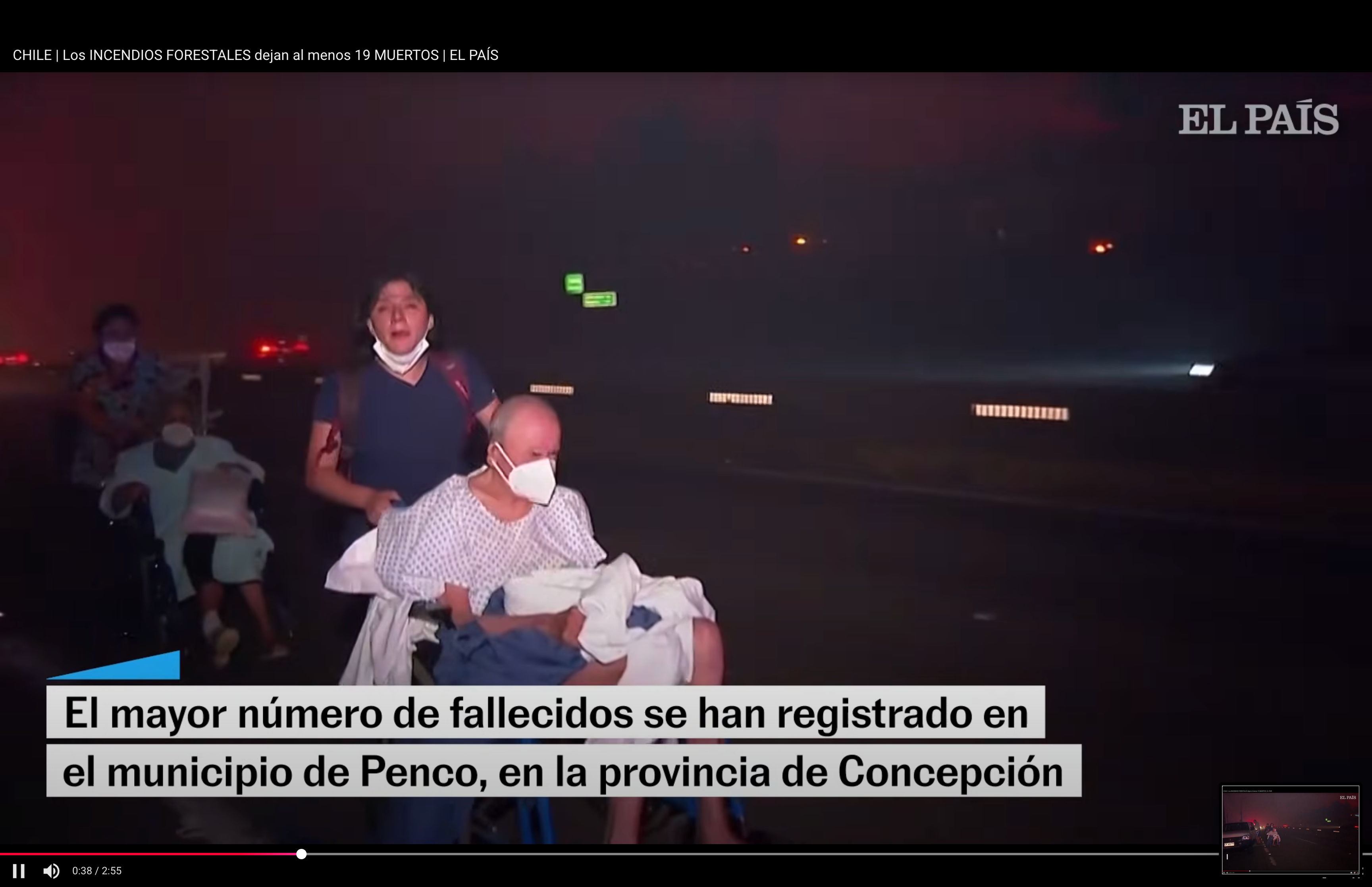 Chile Wildfires: Help for Firefighters, Animals and Victims campaign photo, 4 of 8