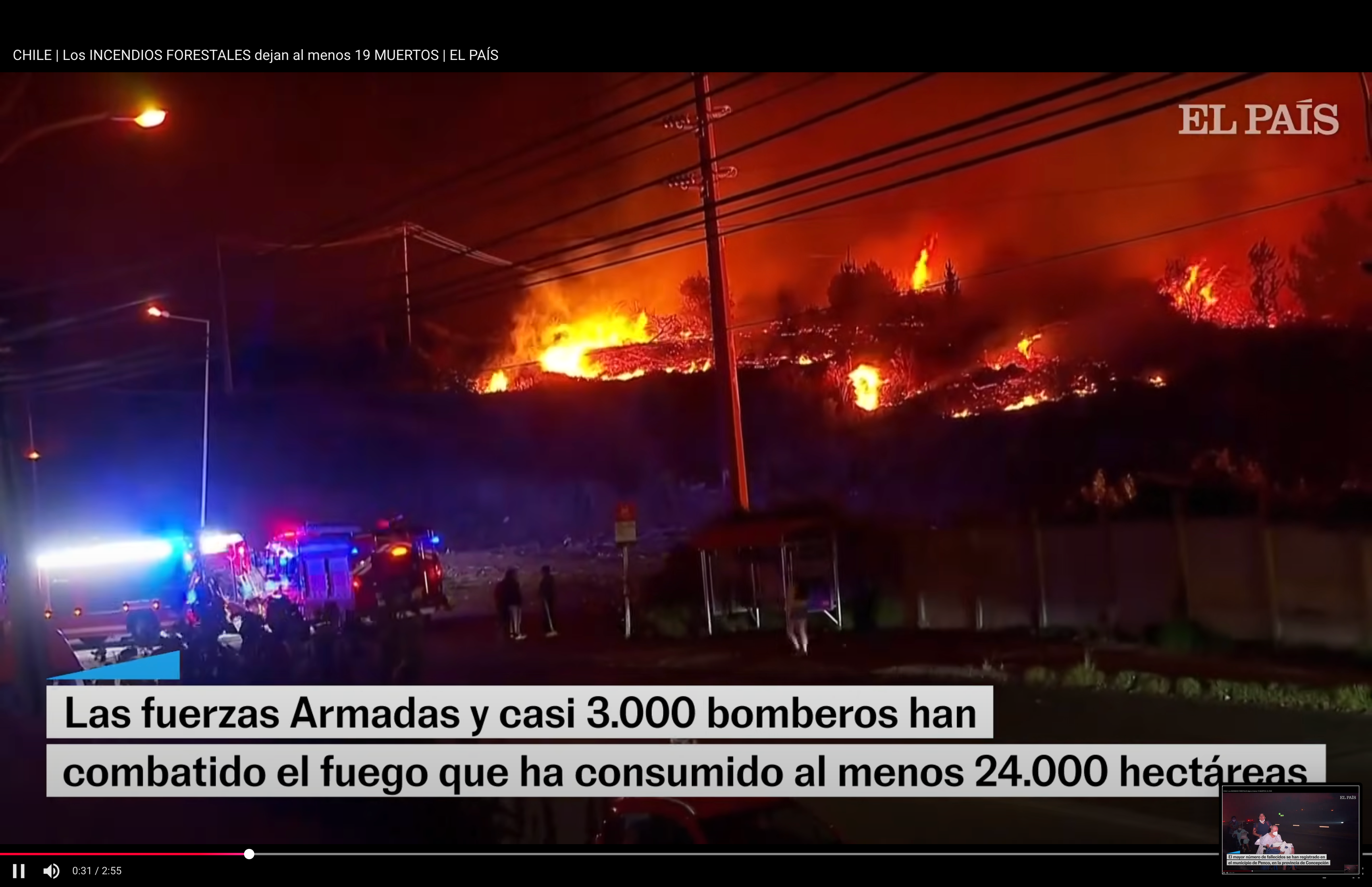 Chile Wildfires: Help for Firefighters, Animals and Victims campaign photo, 5 of 8