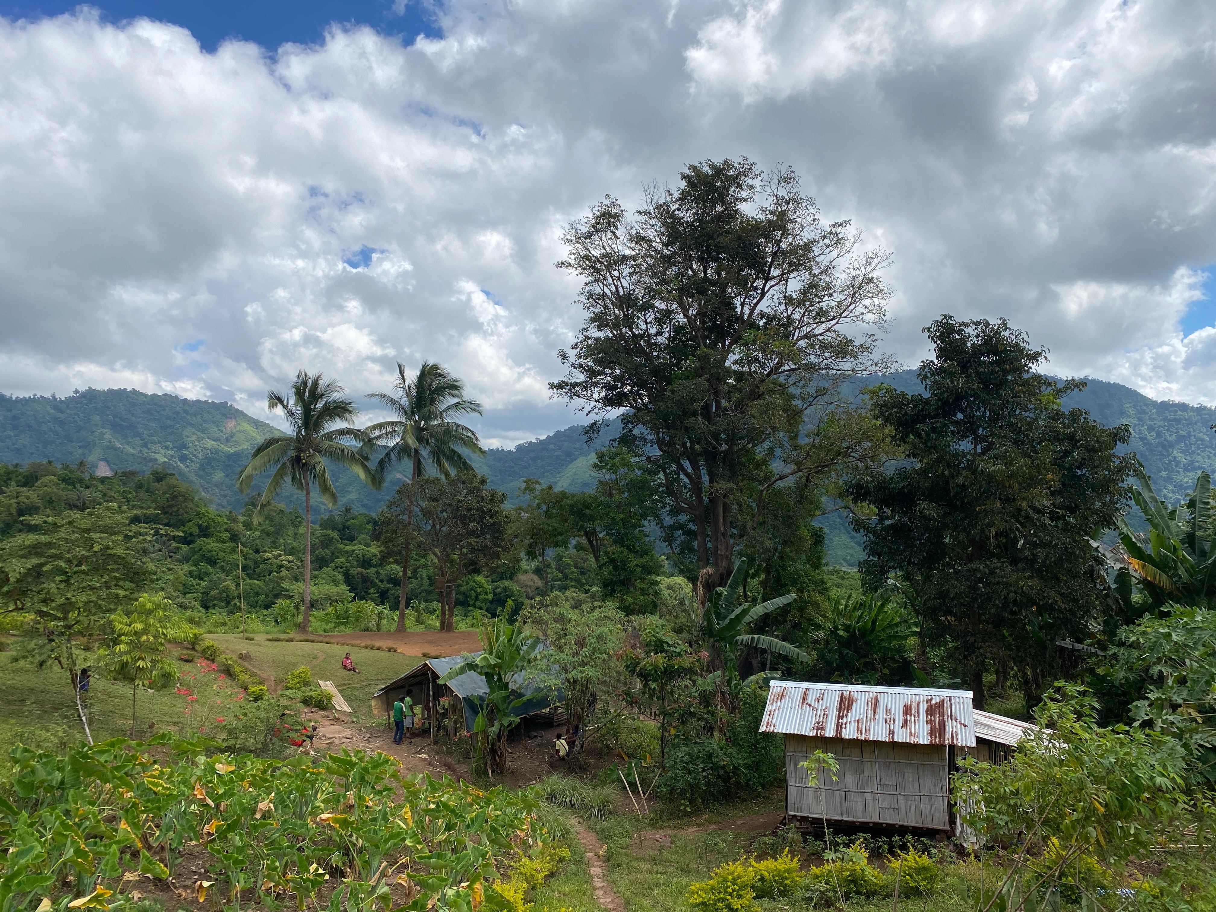 Bringing Art and Wellness to Palawan campaign photo, 5 of 6