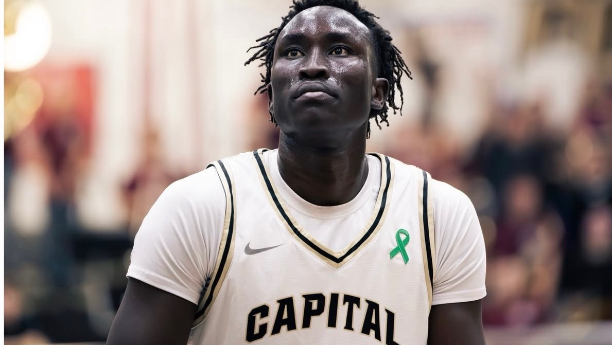 Help Simba Heal and Continue His Journey photo