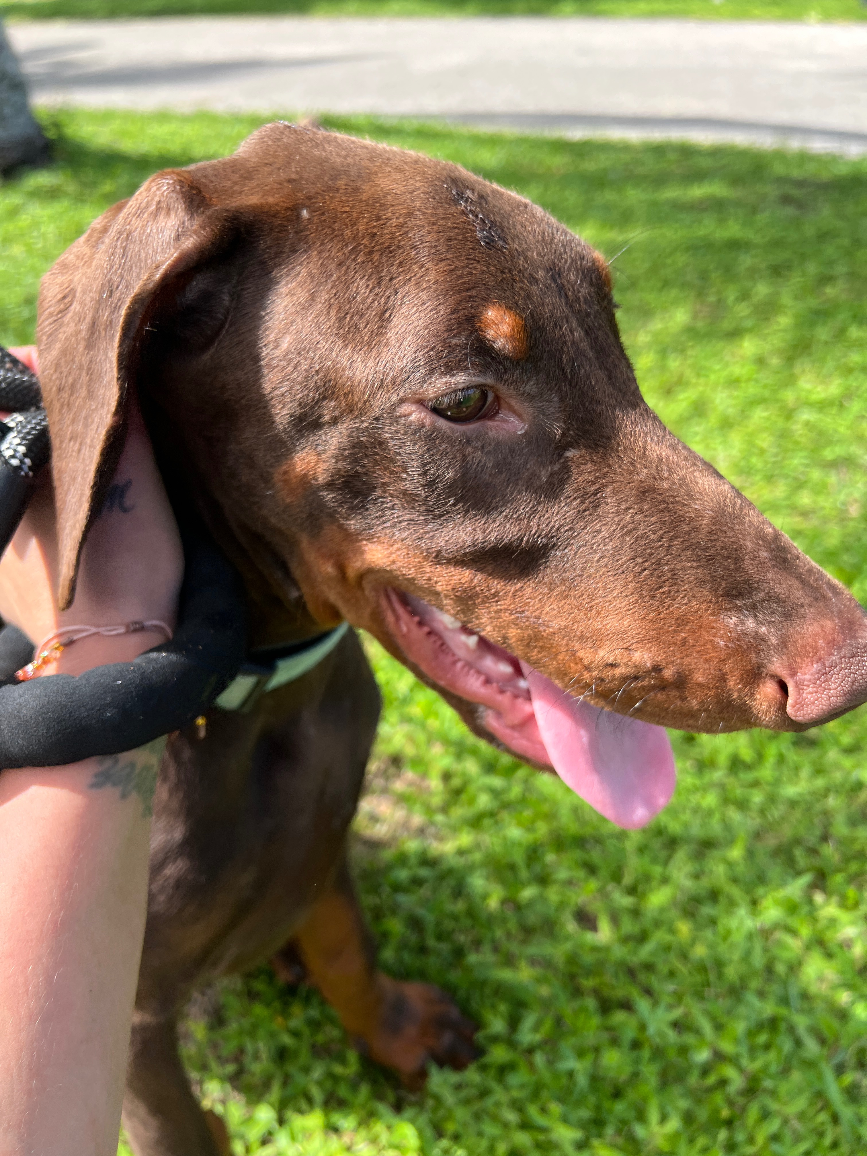 Help Kai Recover from His Medical Emergency campaign photo, 7 of 8