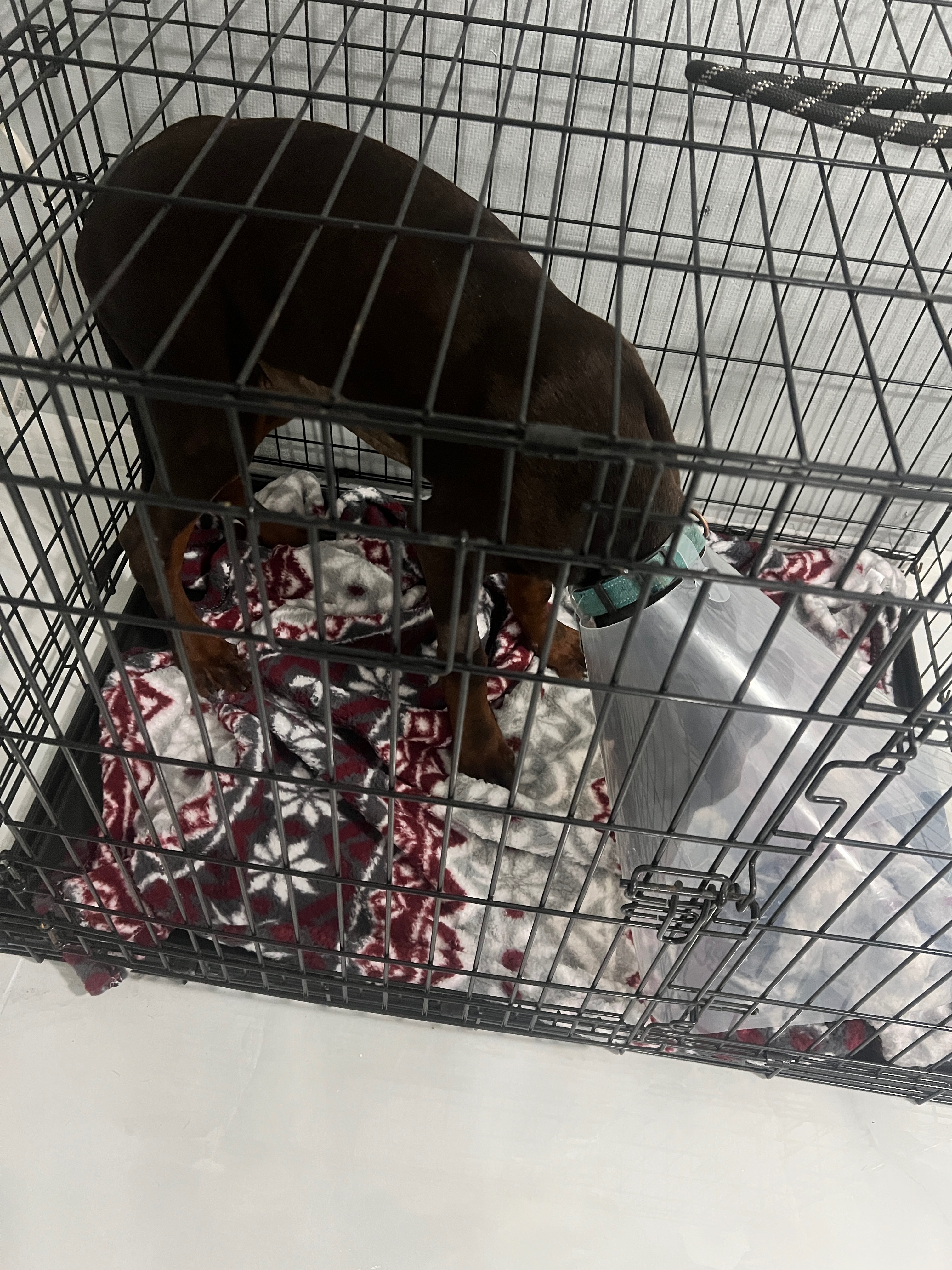Help Kai Recover from His Medical Emergency campaign photo, 2 of 8