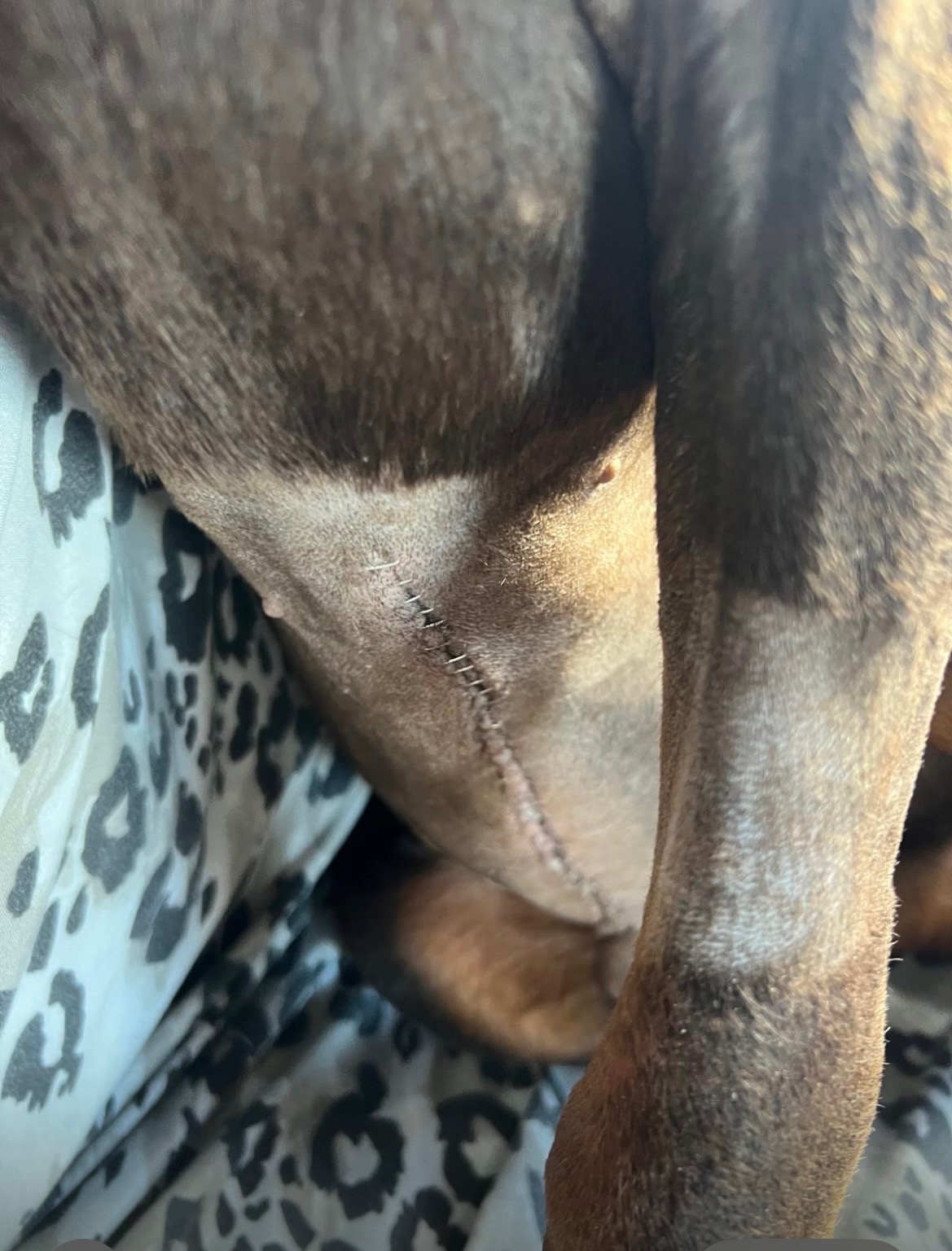 Help Kai Recover from His Medical Emergency campaign photo, 4 of 8