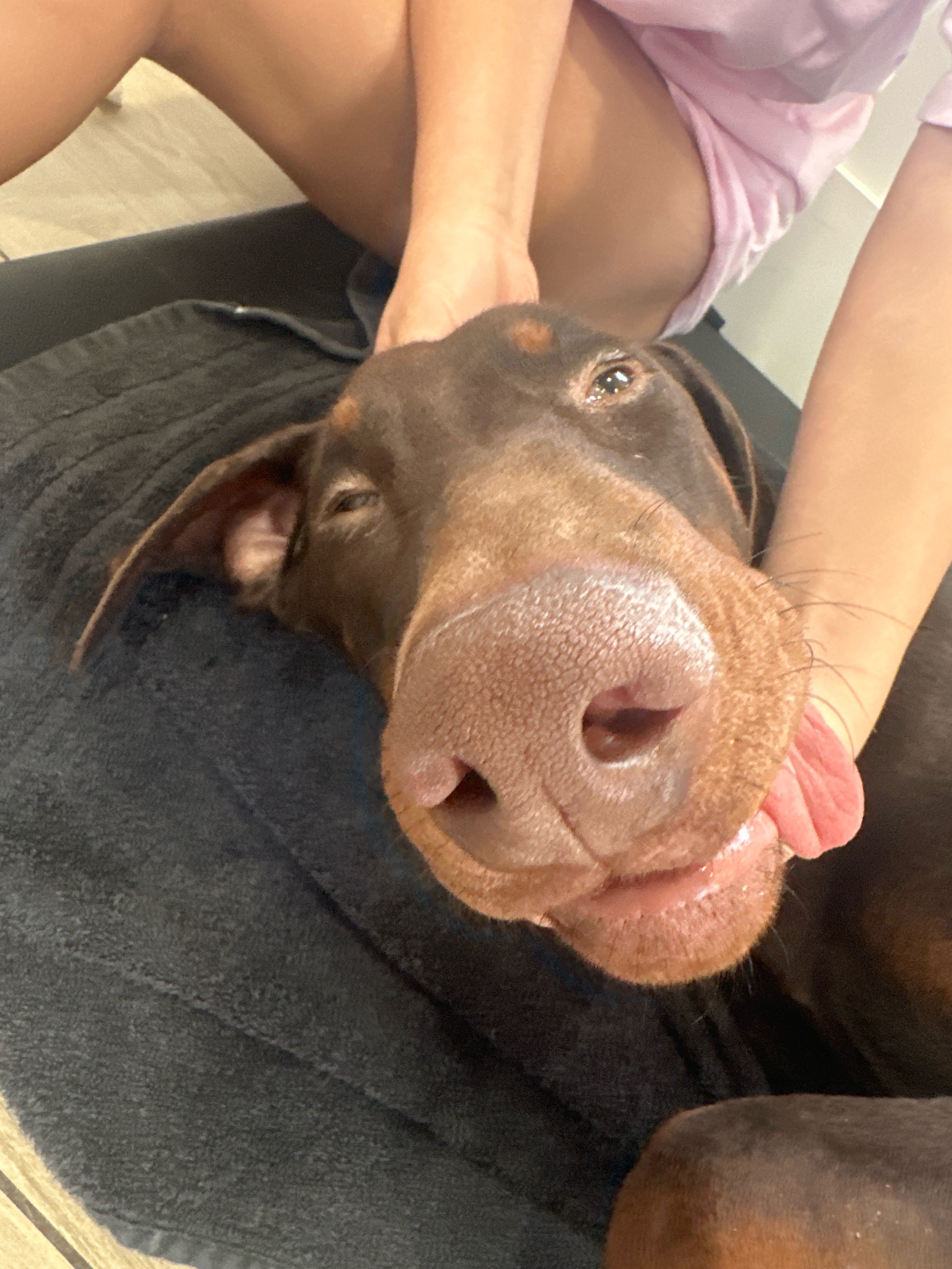 Help Kai Recover from His Medical Emergency campaign photo, 5 of 8