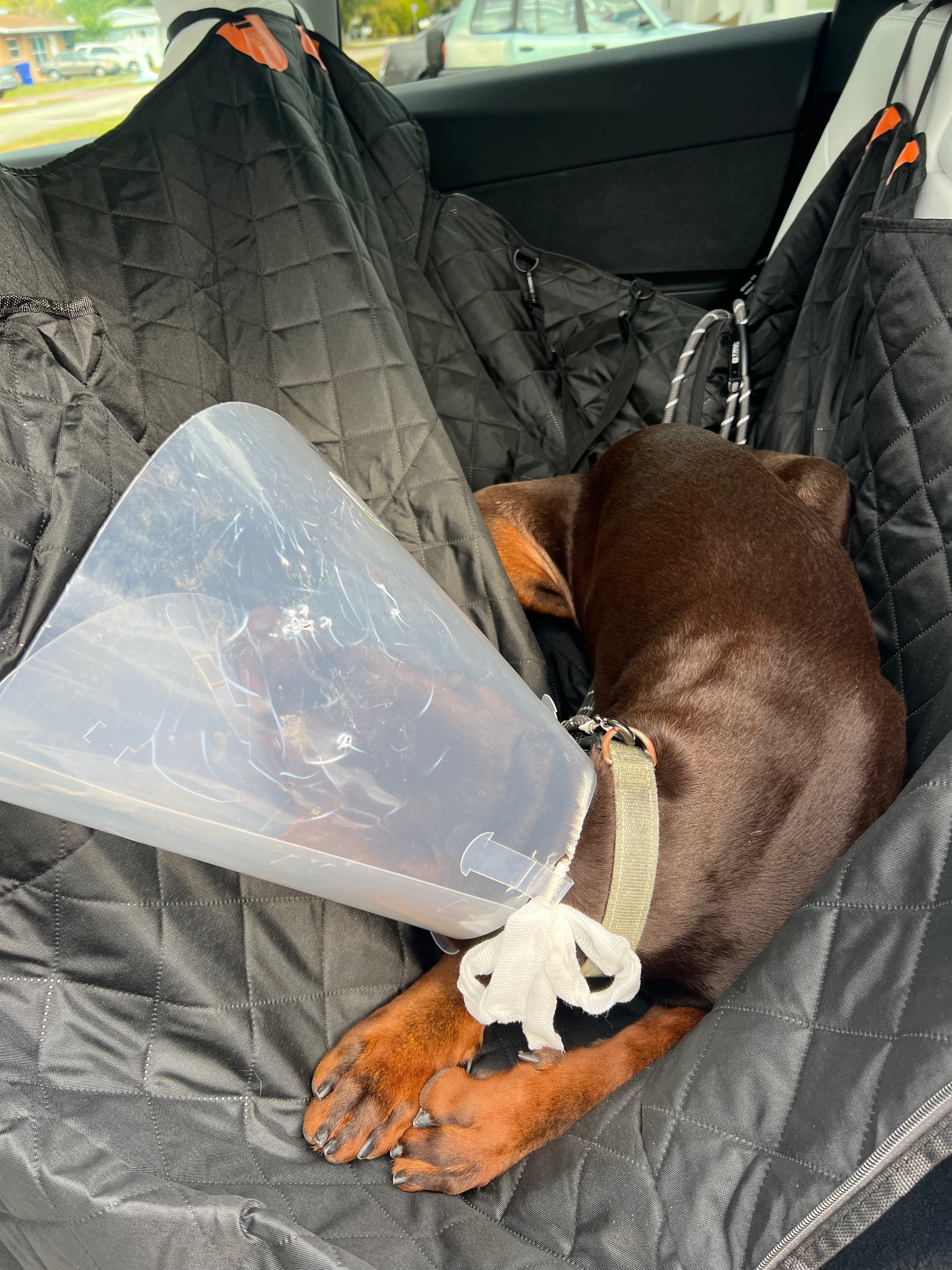 Help Kai Recover from His Medical Emergency campaign photo, 6 of 8
