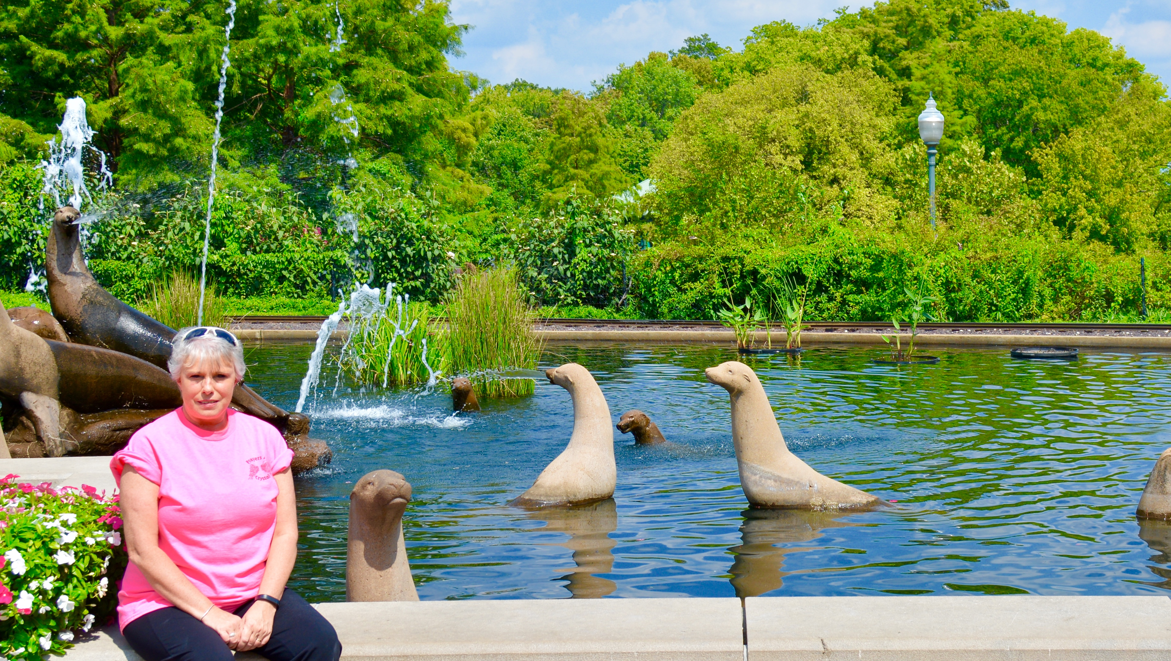 Support for Mom After Her Car Accident photo