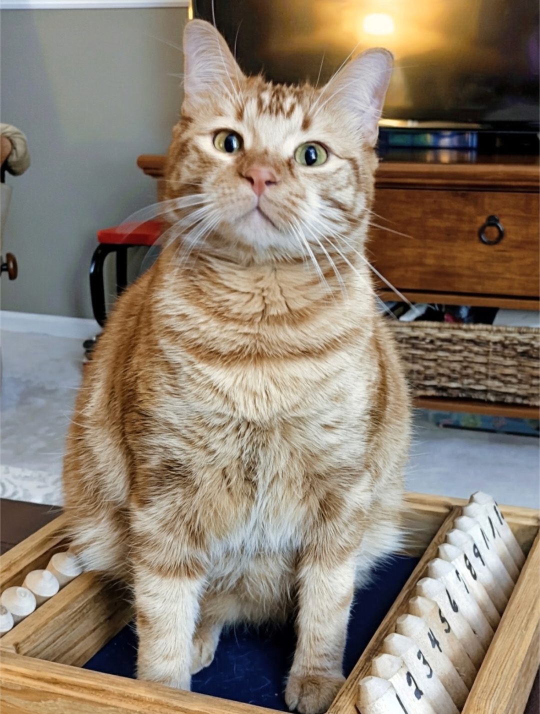 Help Jack's family cover his medical bills campaign photo, 6 of 8