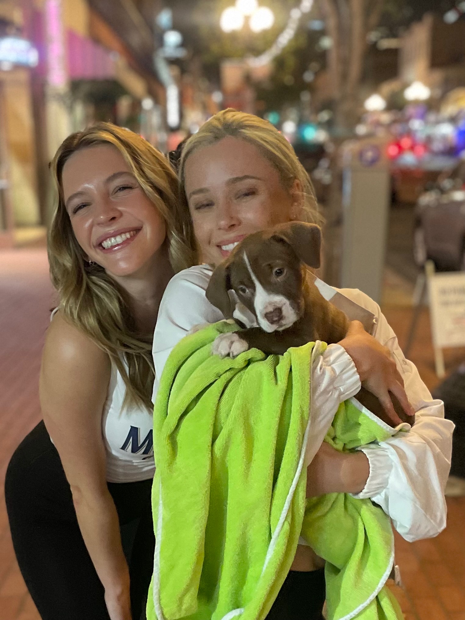 Support Homeless Puppy’s Journey to Health campaign photo, 6 of 7