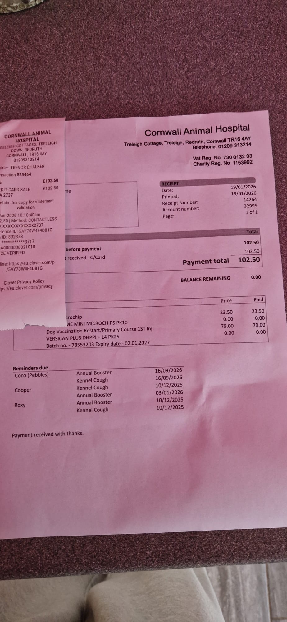 Please help cover Pixie’s vet bills campaign photo, 6 of 8