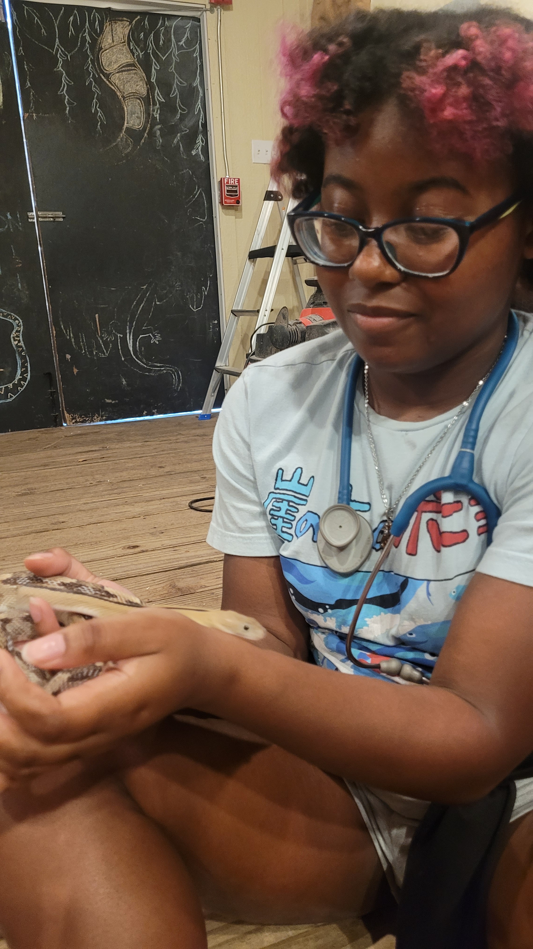 Portia Reed Fundraiser by Portia Reed : Support Portia's Journey to Veterinary ...