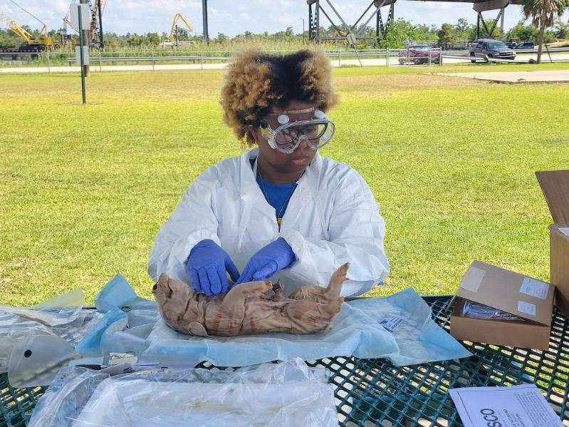 Portia Reed Fundraiser by Portia Reed : Support Portia's Journey to Veterinary ...