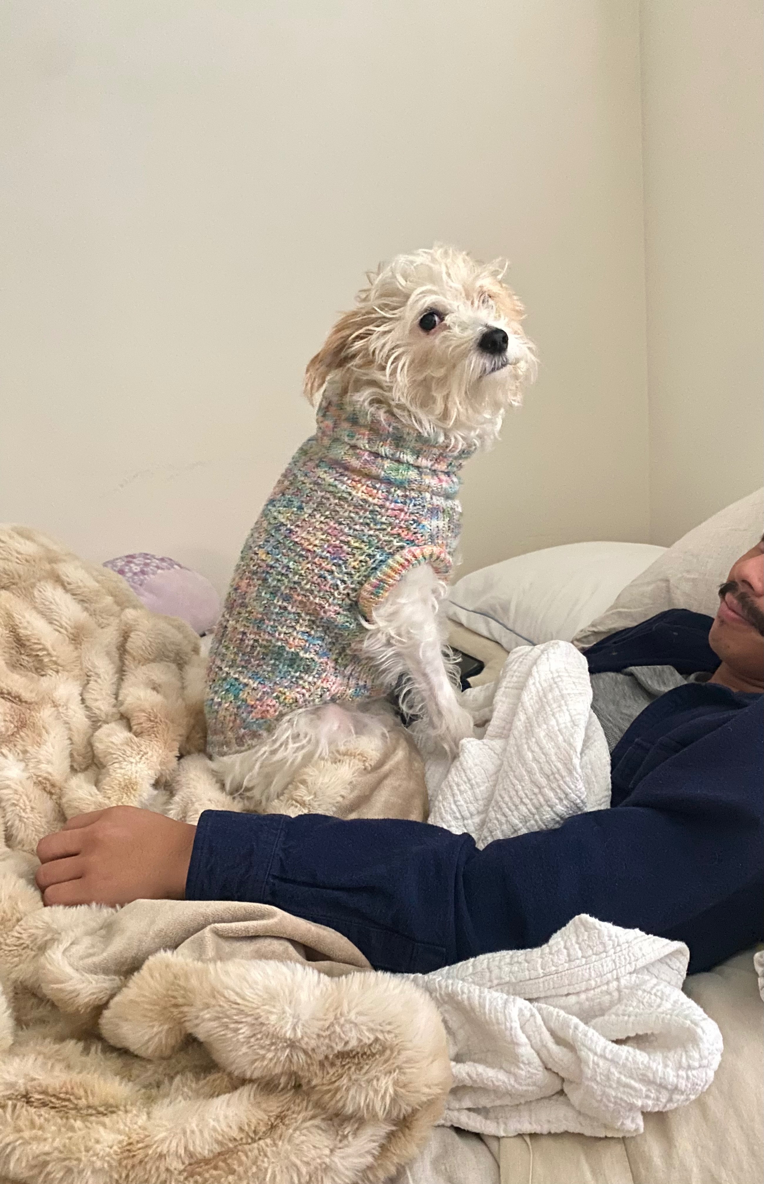 Help Coco Bean Get Urgent Dental Care campaign photo, 7 of 8